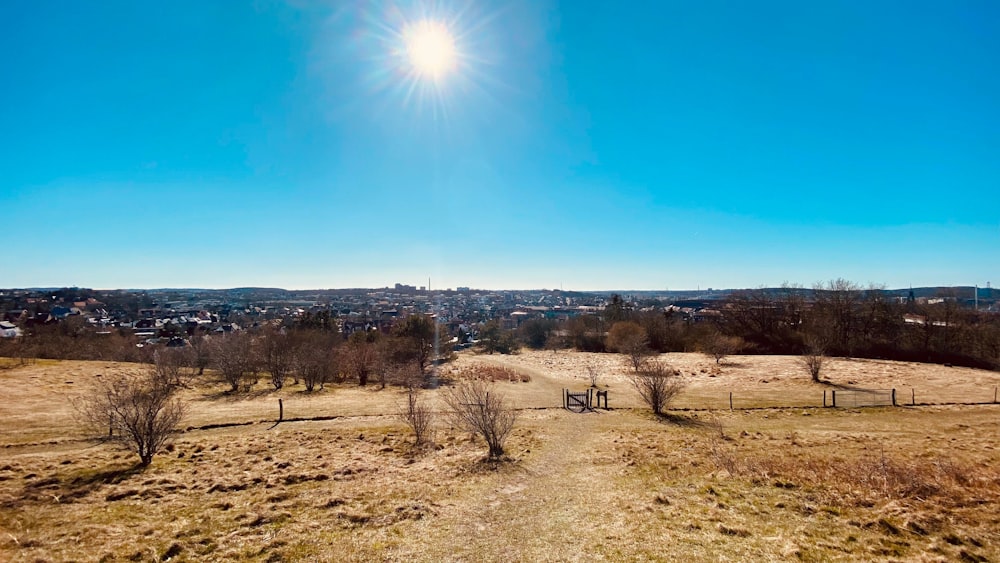 the sun is shining over a grassy field