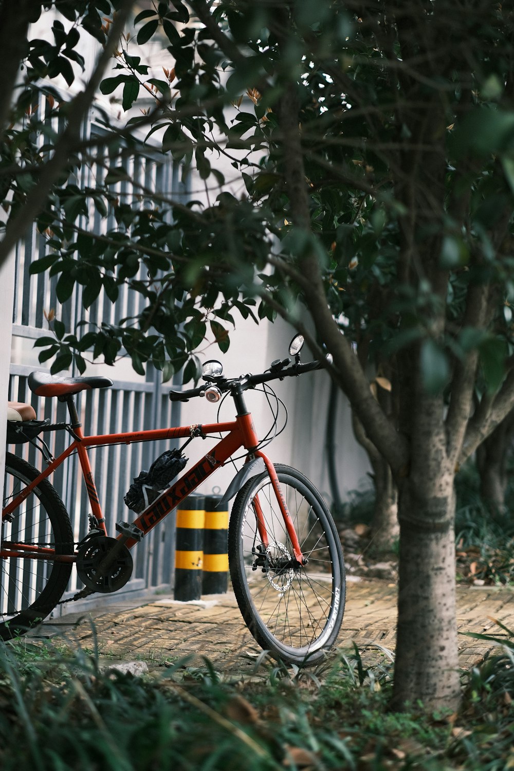 a red bike parked next to a tree