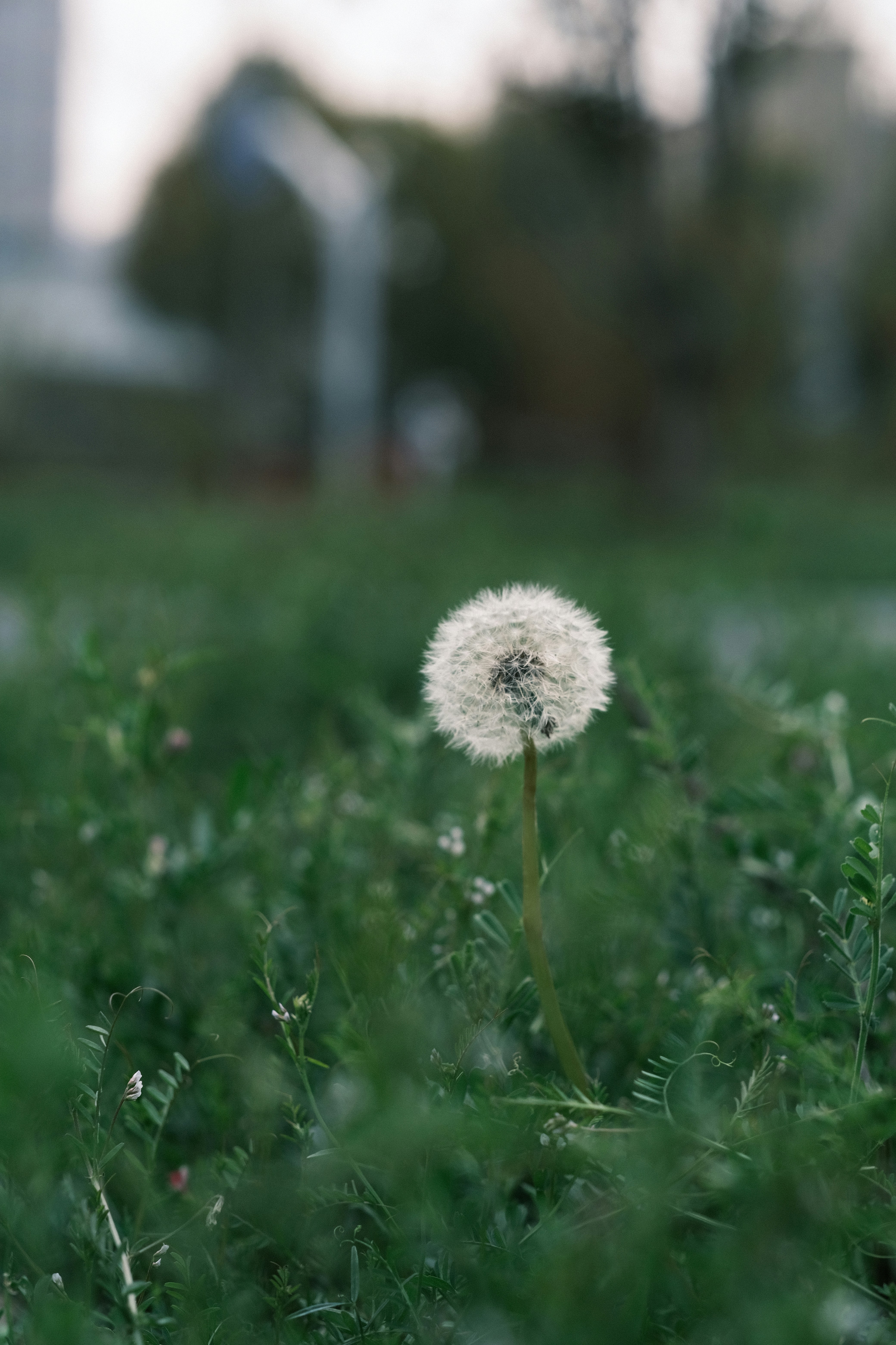 Photo by yesterdayness