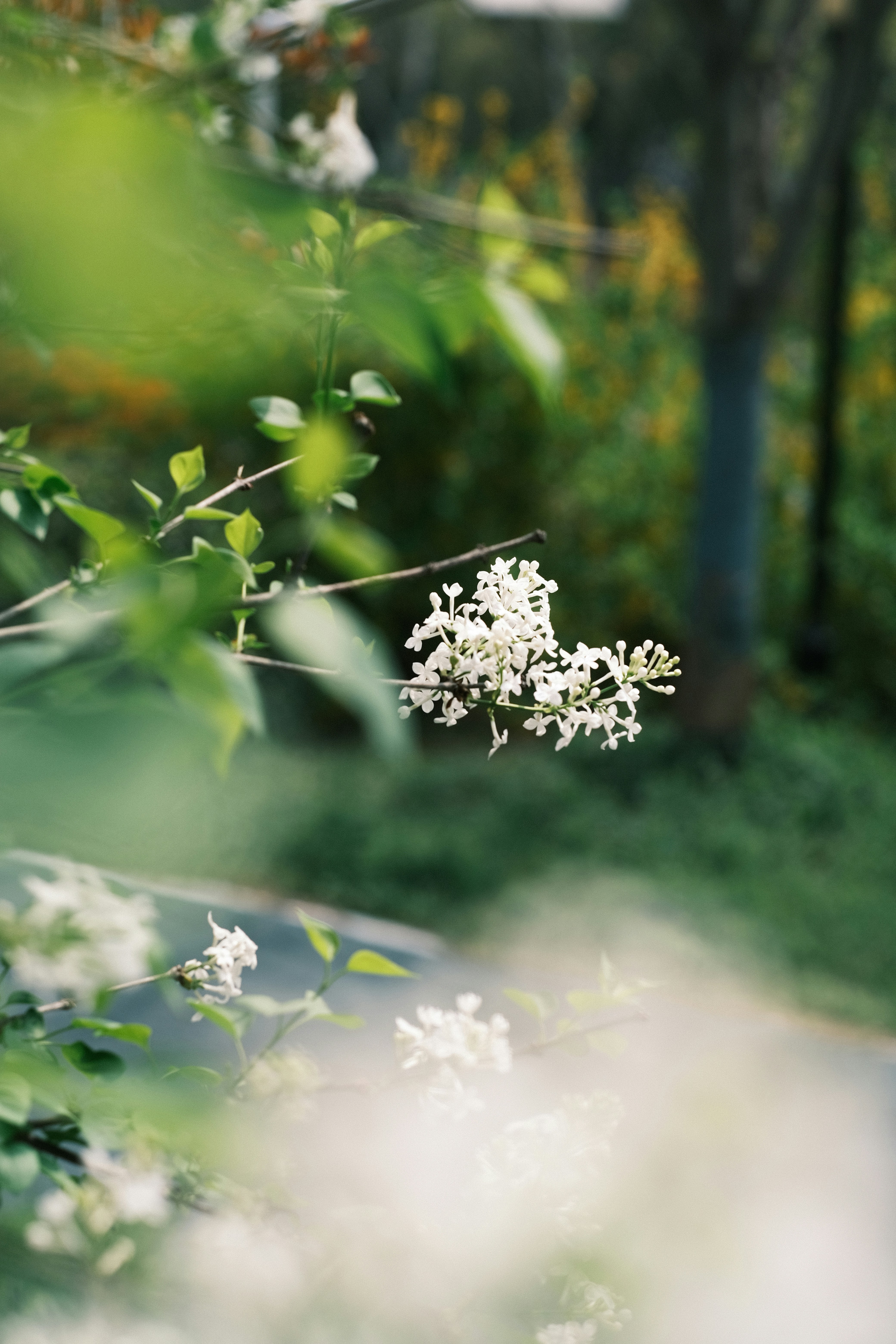 Photo by yesterdayness