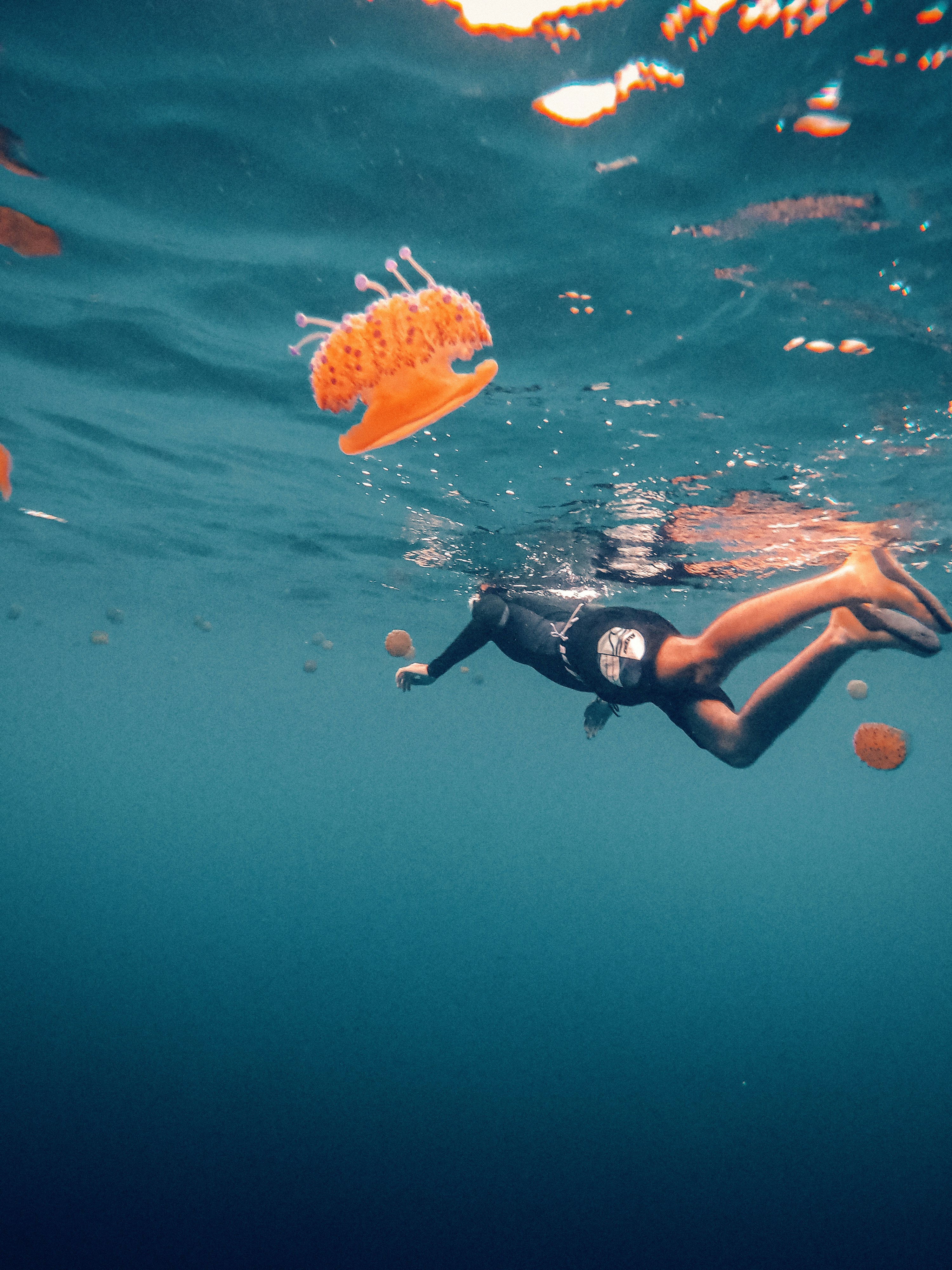 Photo by mounir_abdi