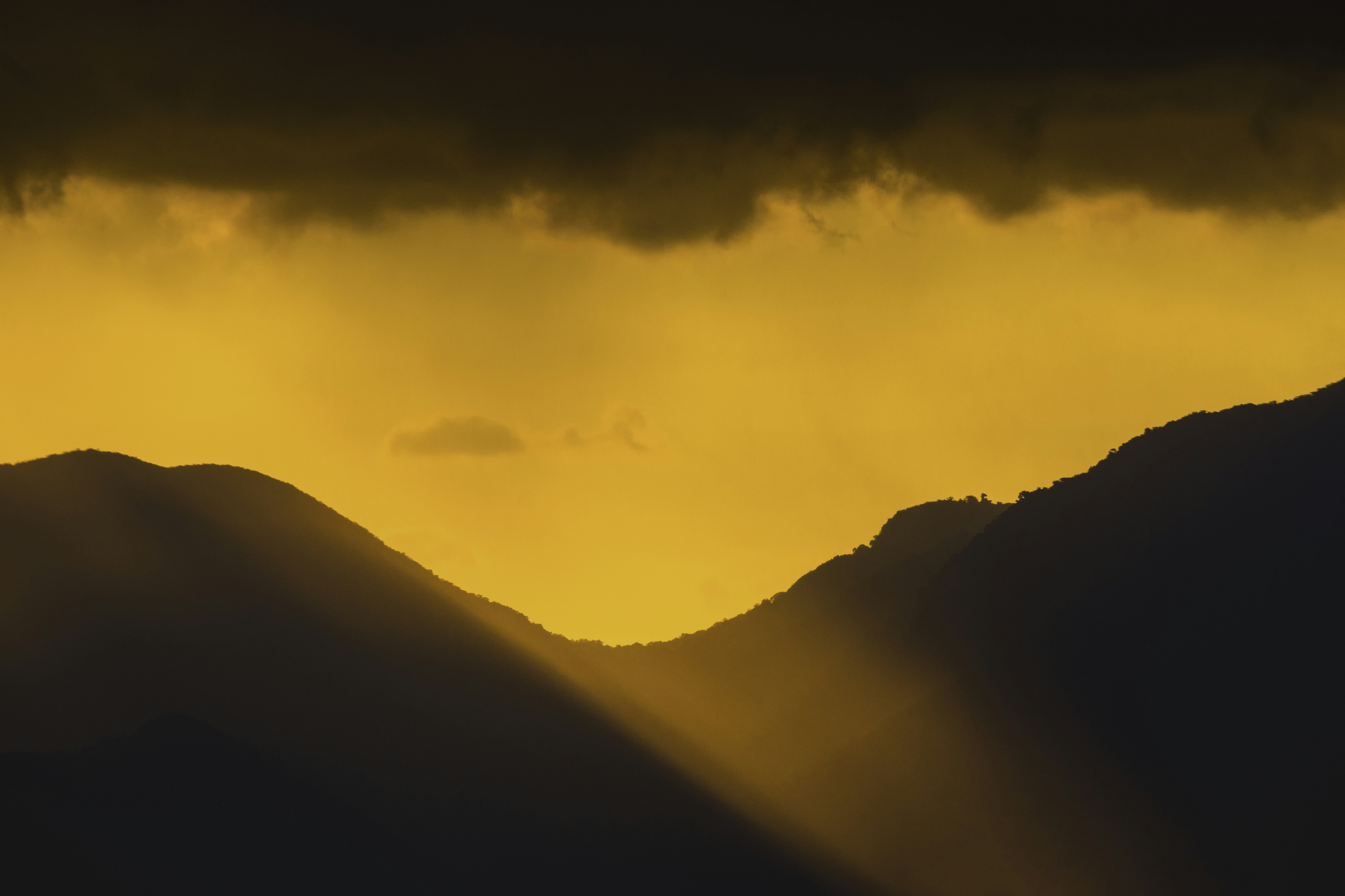 Photo by navi_photography