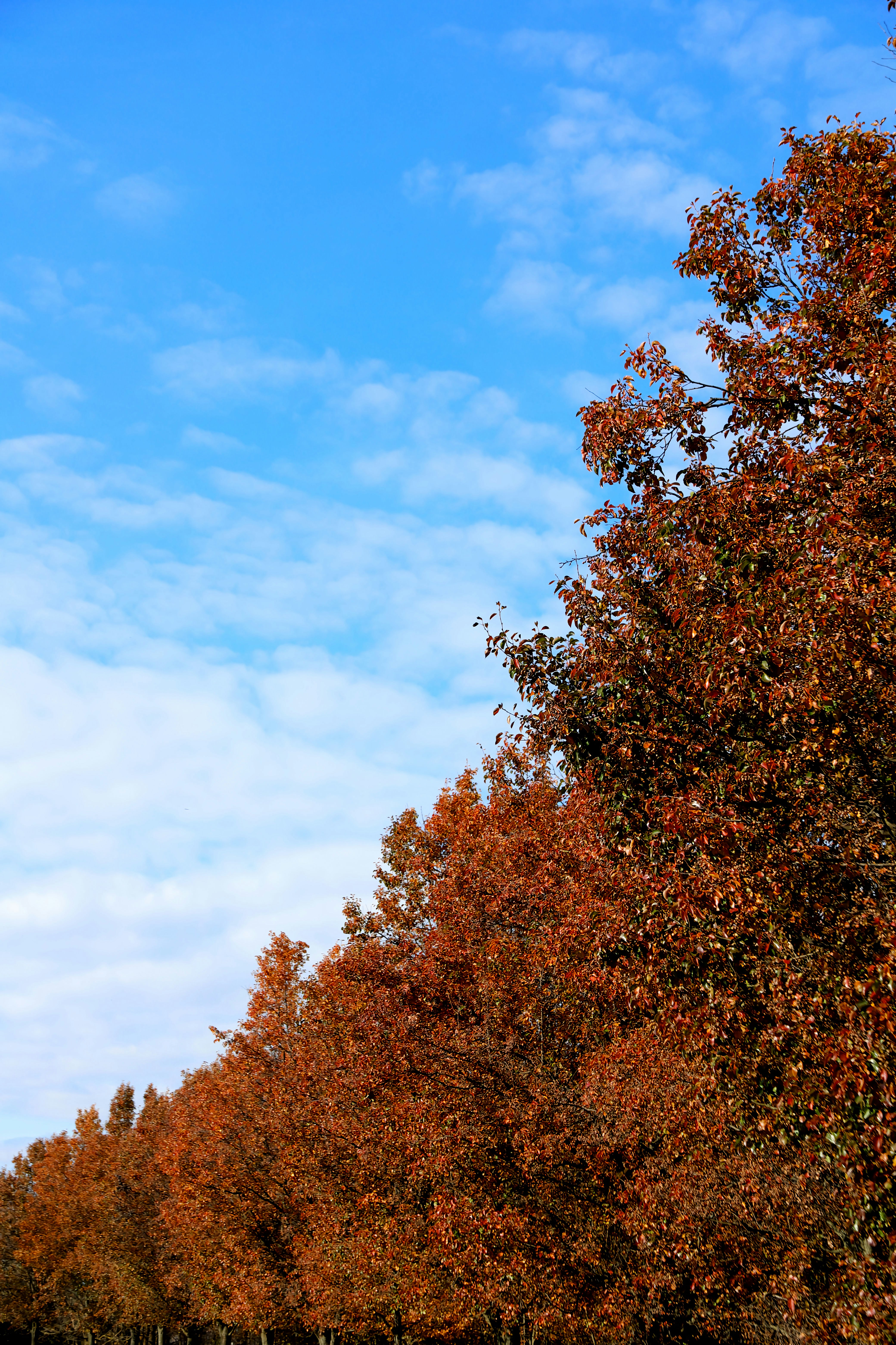 Photo by forsakenfilmslimited