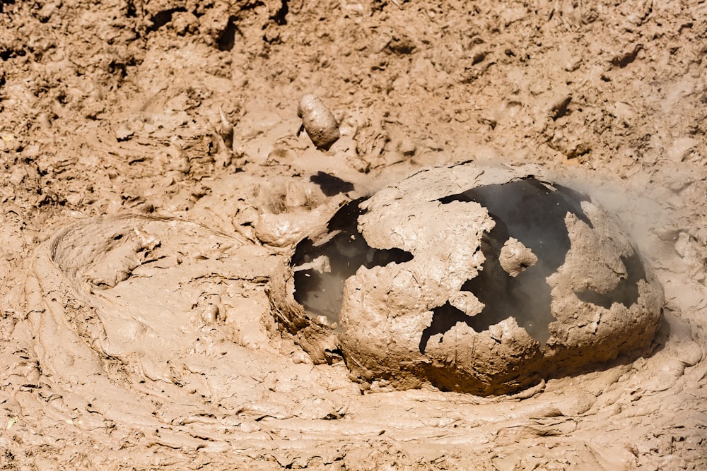 a black and white ball in the mud