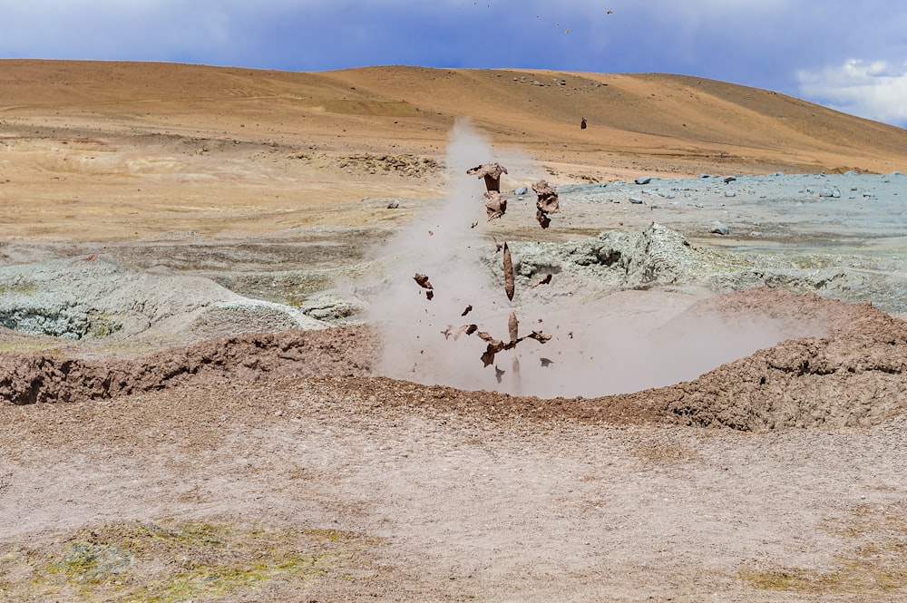 a group of birds flying over a dirt field