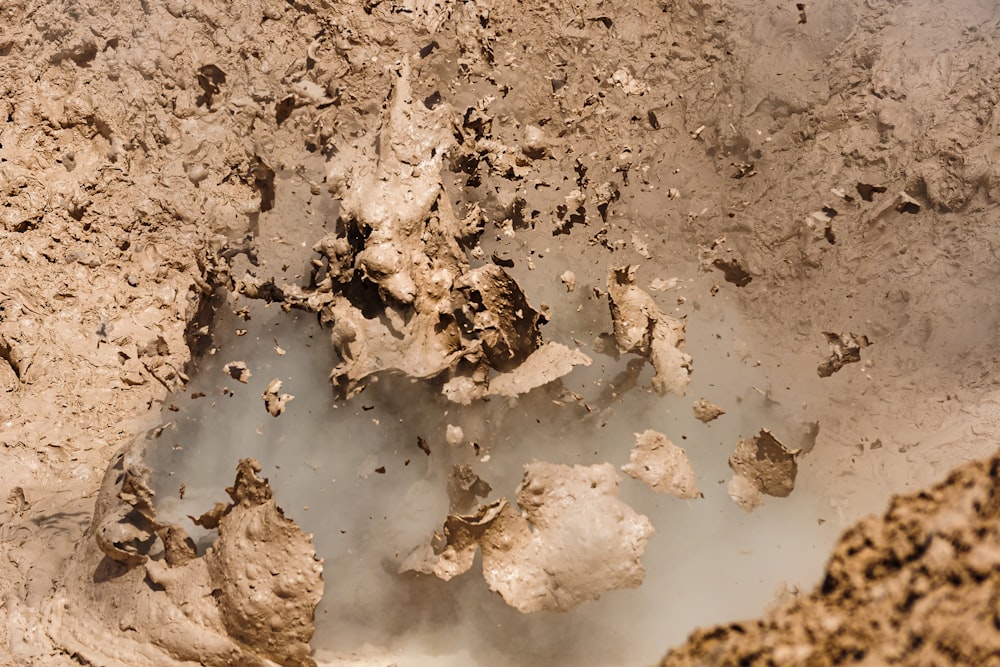 a muddy area with rocks and dirt in it