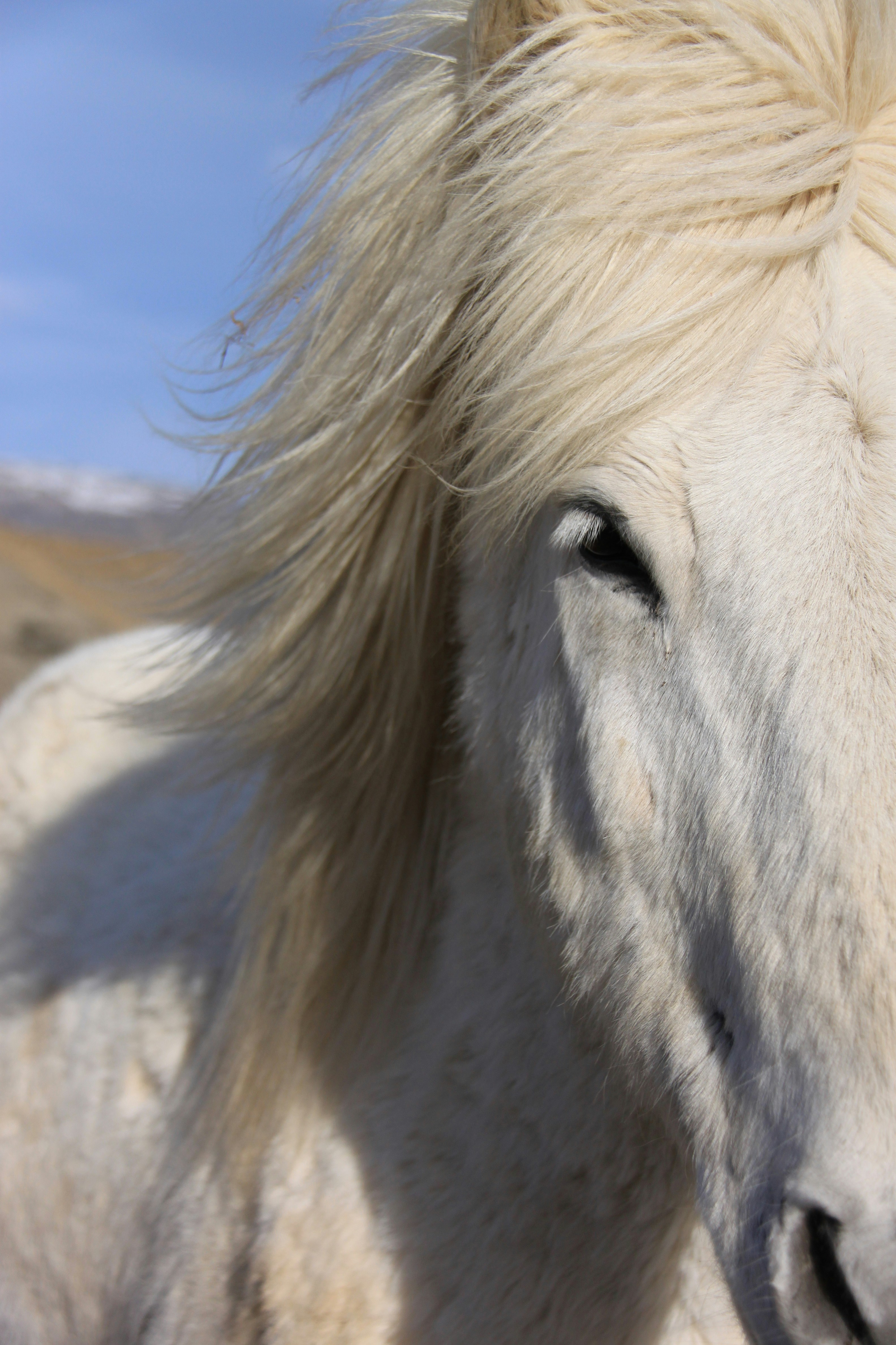 Photo by else_whoelse