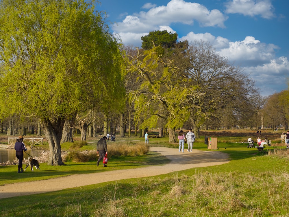 a group of people walking around a park