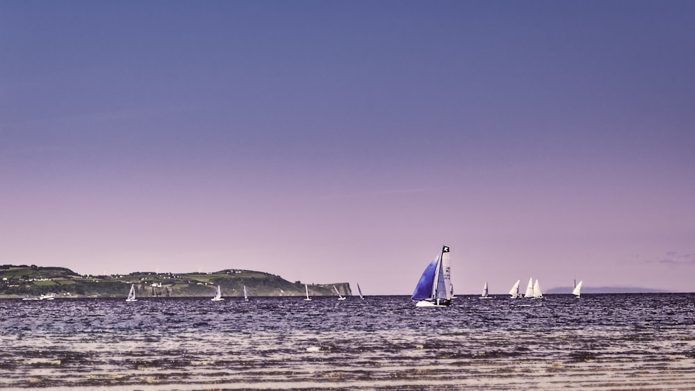 a group of sailboats sailing on a body of water