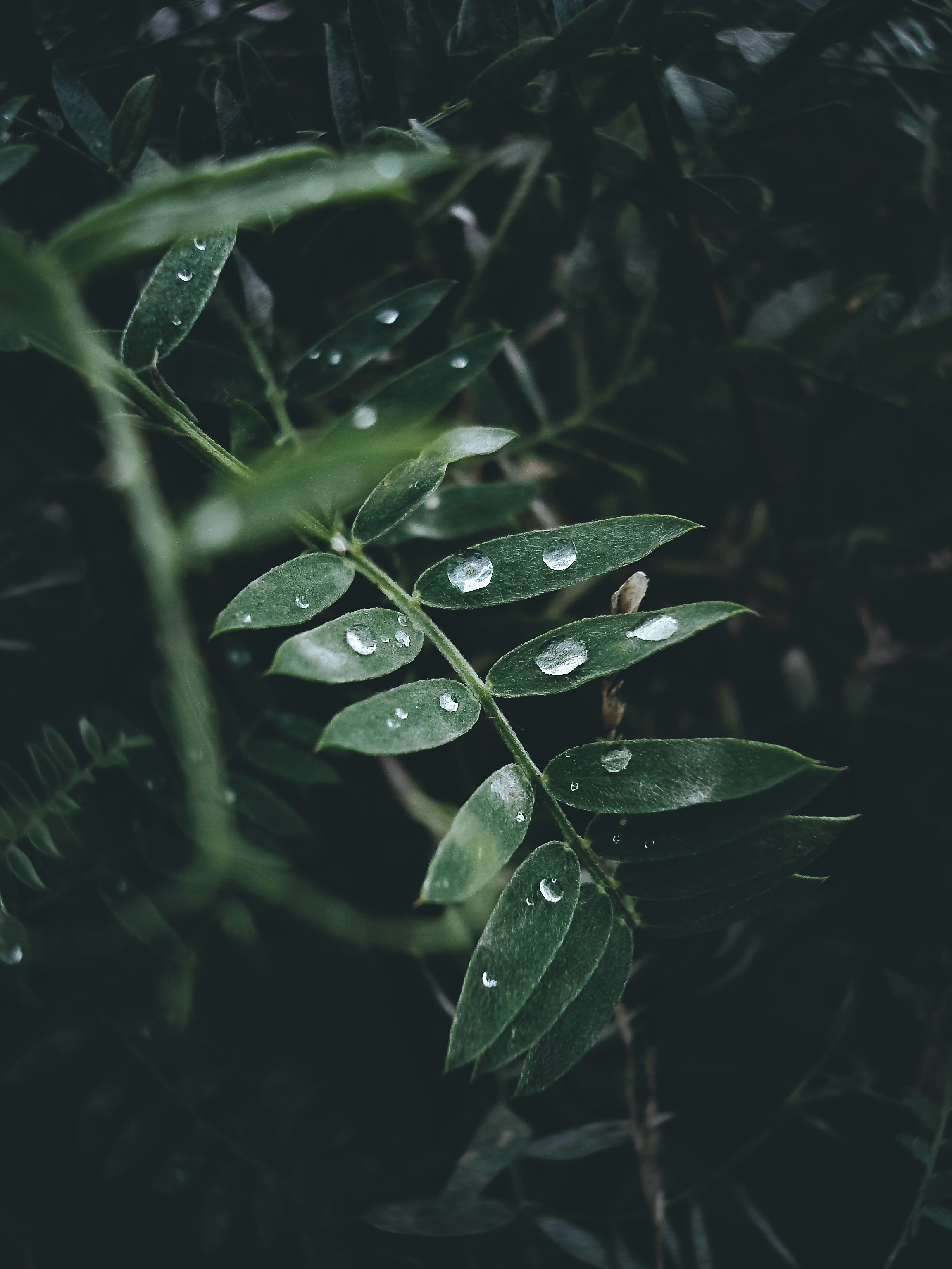 Photo by eugene_golovesov