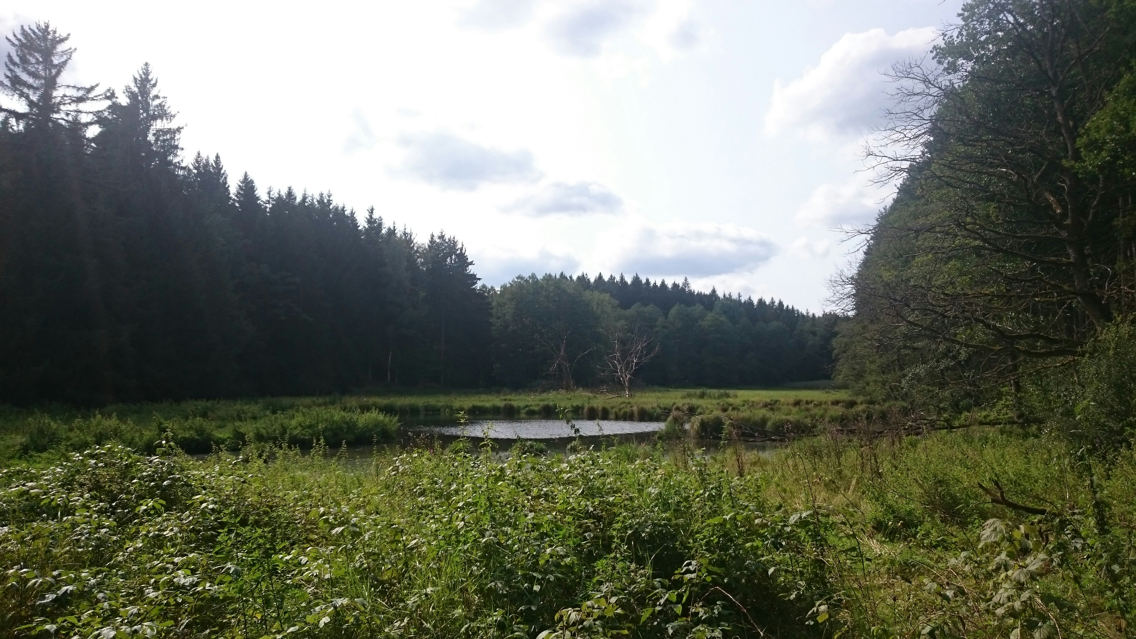 Burnt Meadow Pond State Water Access