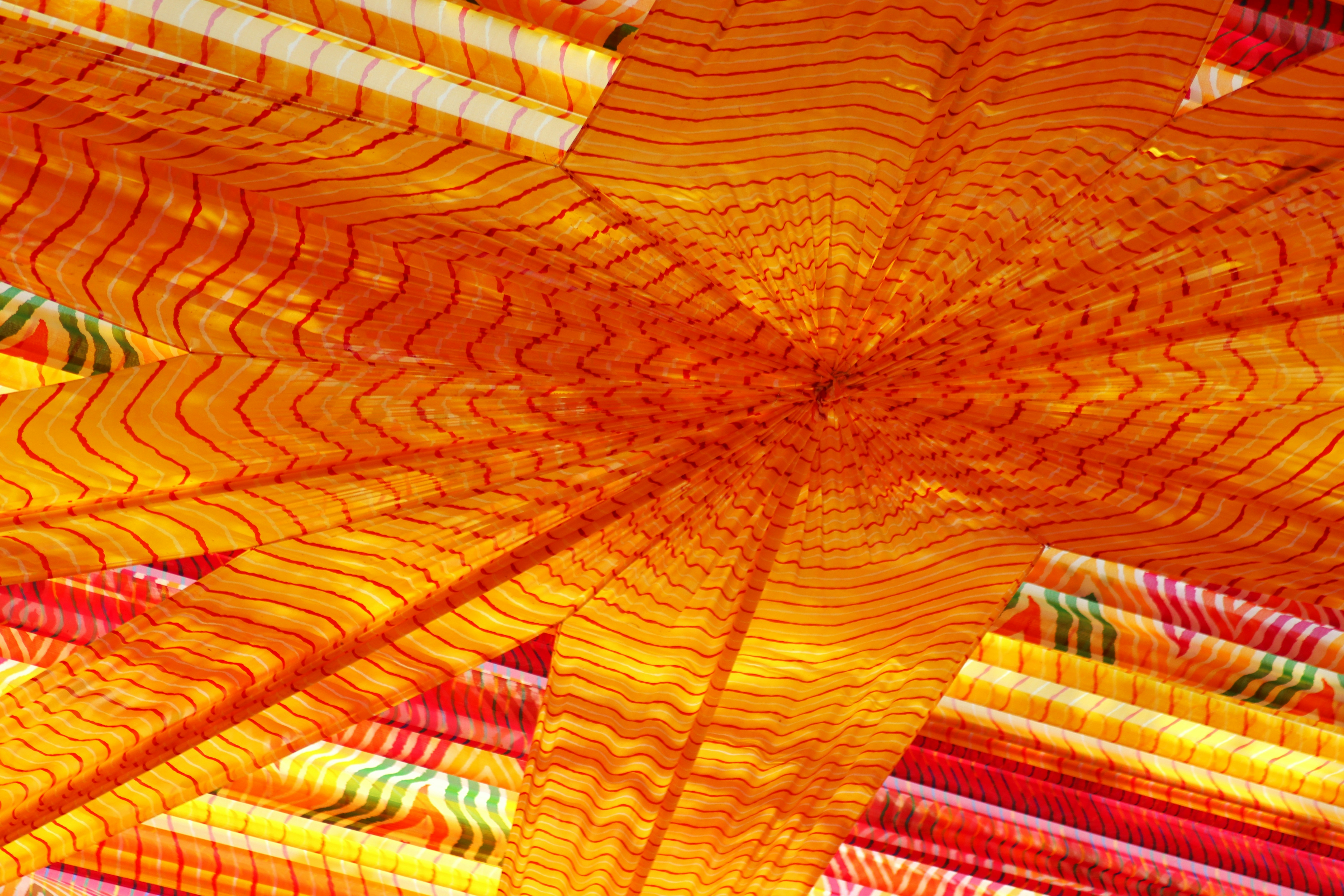 Photo by saubhagya2304