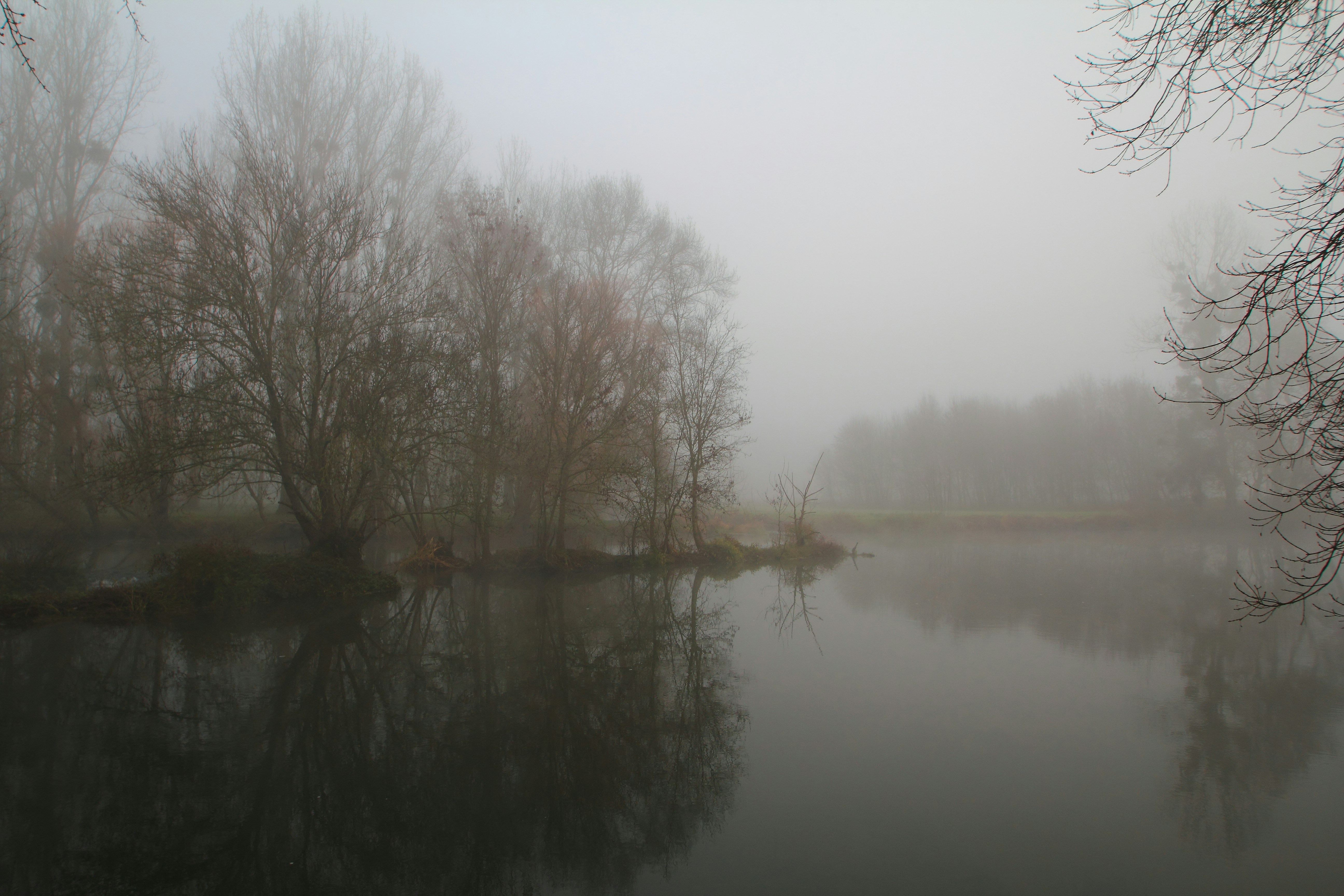 Photo by davidterriot37