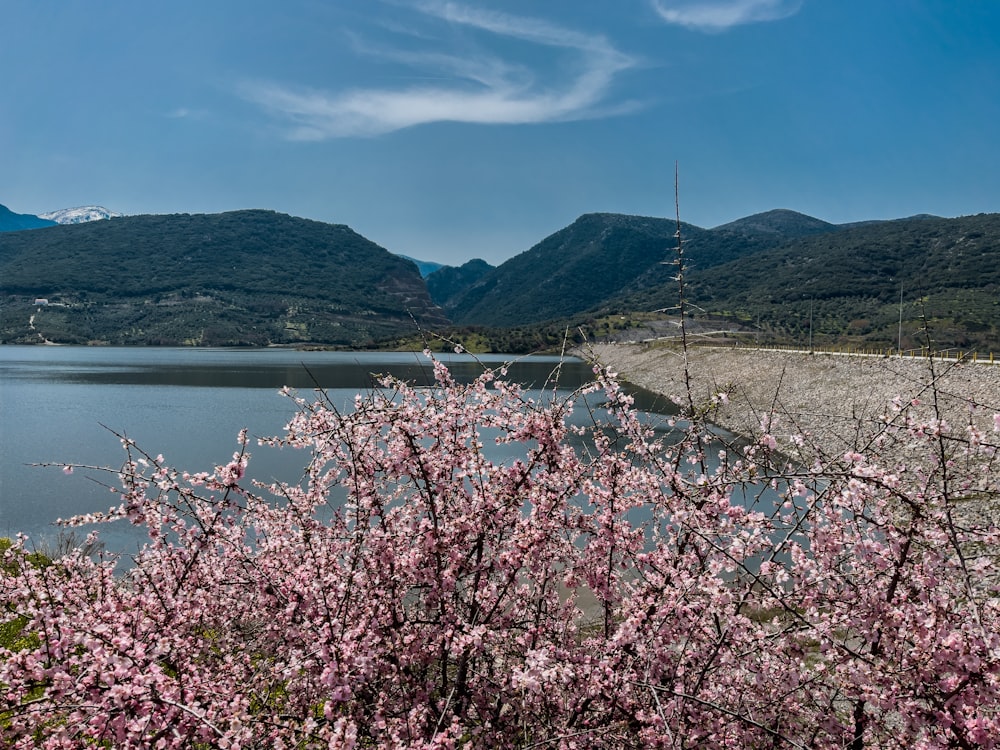 a body of water surrounded by mountains and trees