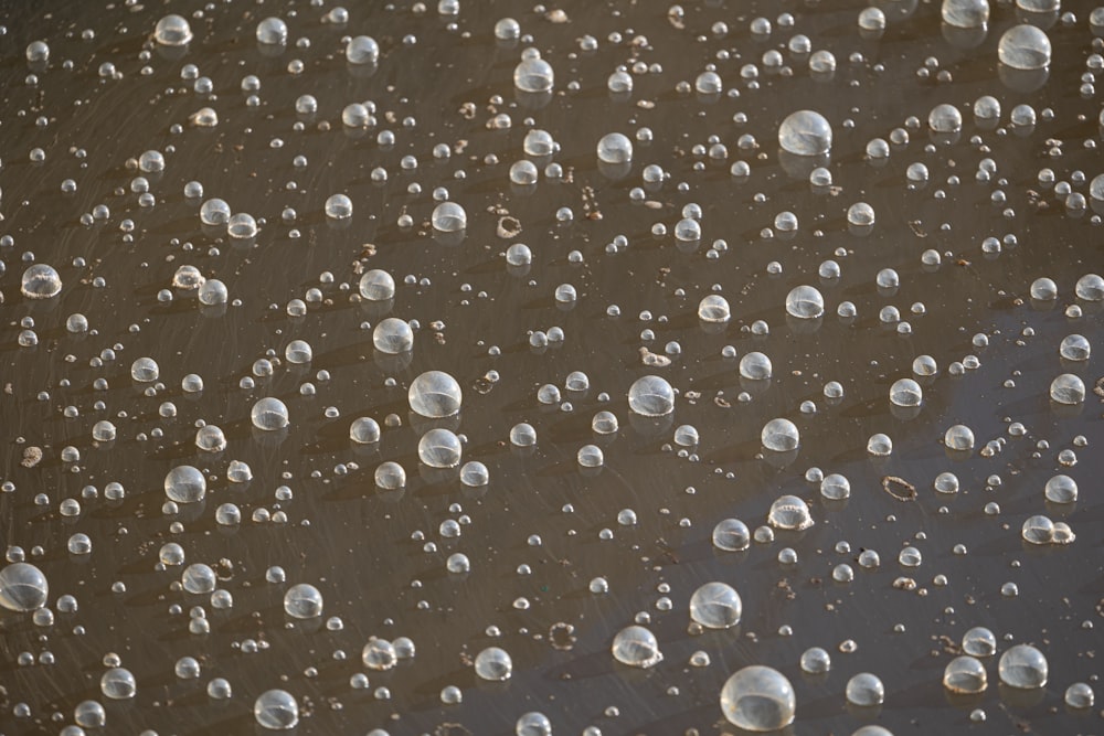 a lot of bubbles that are in the water