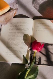 An open book with text in Russian lies on a table, illuminated by soft light. A red tulip is placed on the book, casting a shadow along with a silhouette of two figures holding hands on the page. In the upper part of the image, a slice of layered cake with a white doily rests, partially visible.