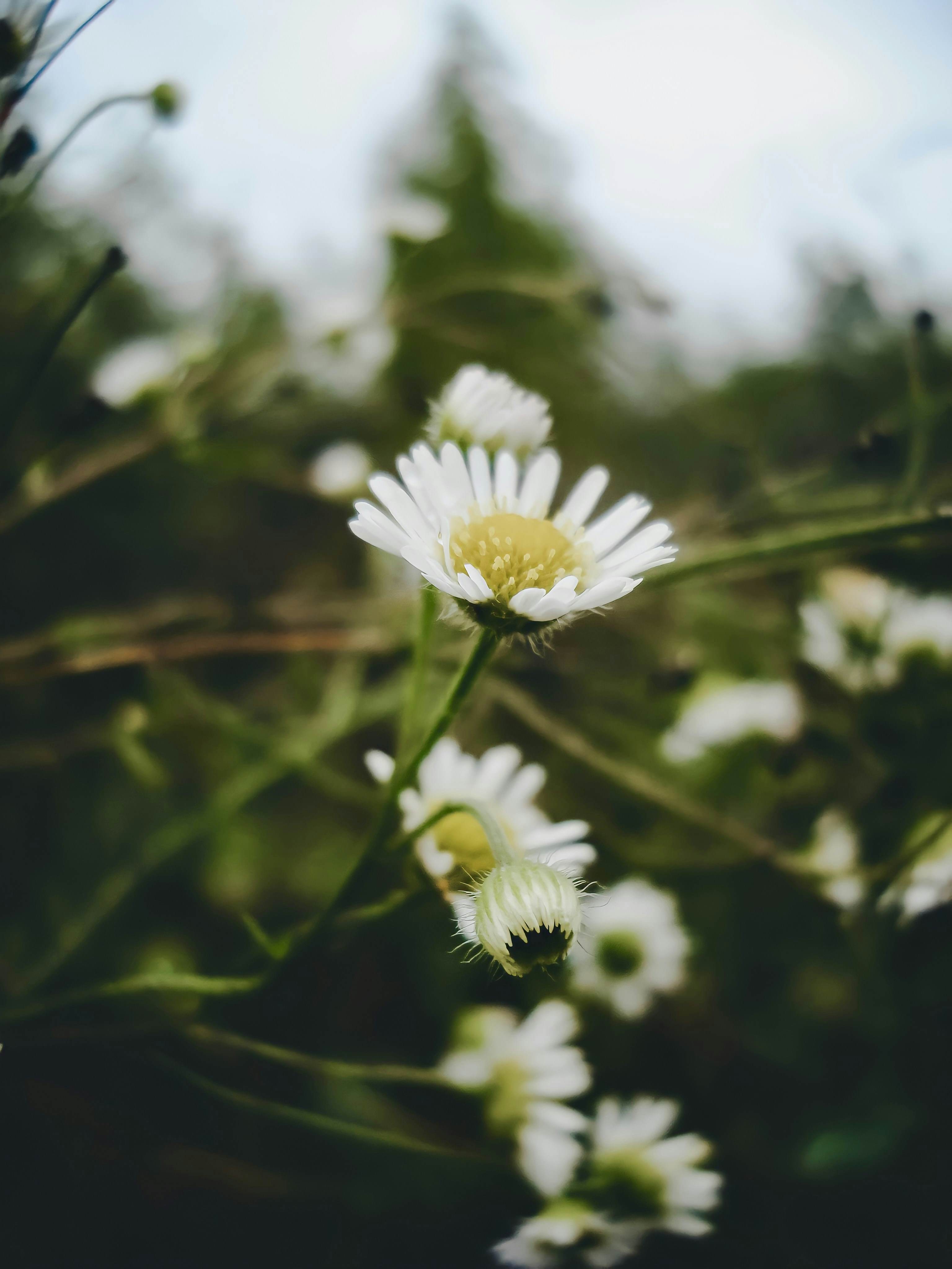 Photo by eugene_golovesov