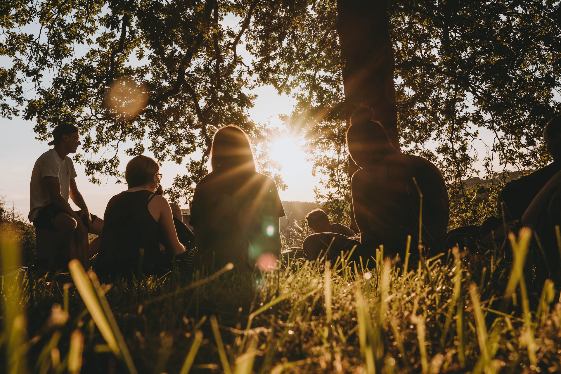a group of people sitting under a tree