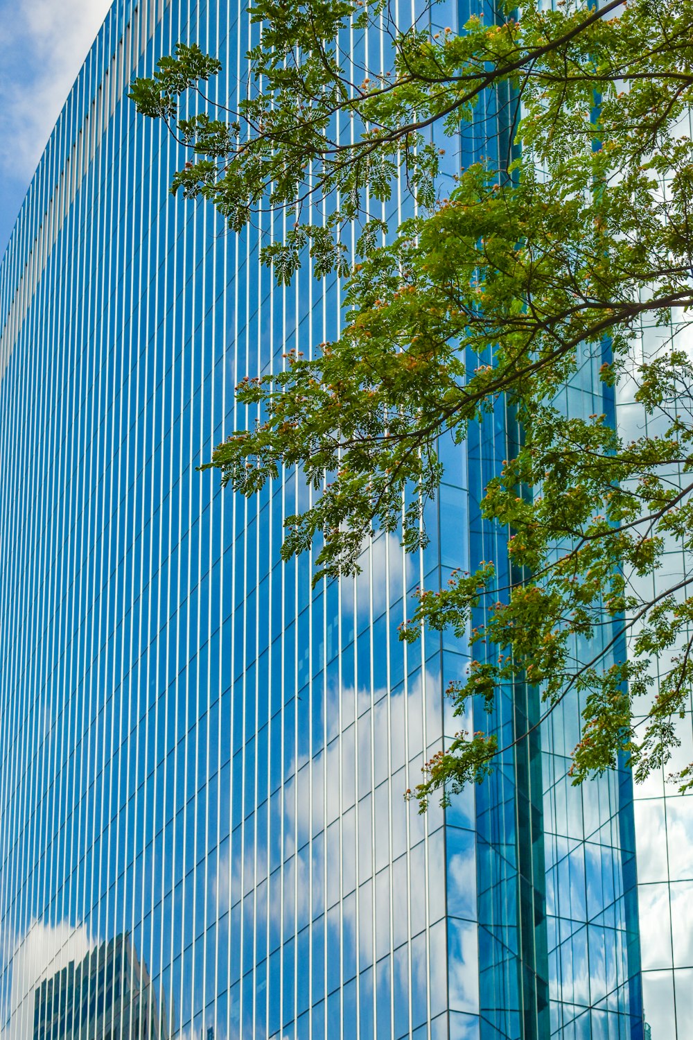 a tall building with a tree in front of it