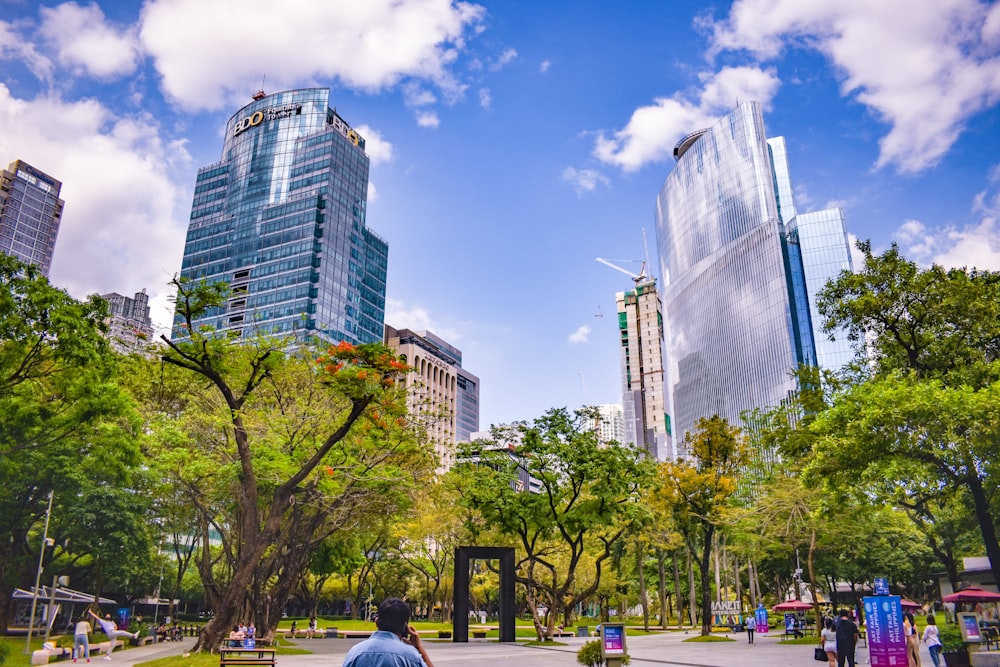 a man sitting on a bench in the middle of a park