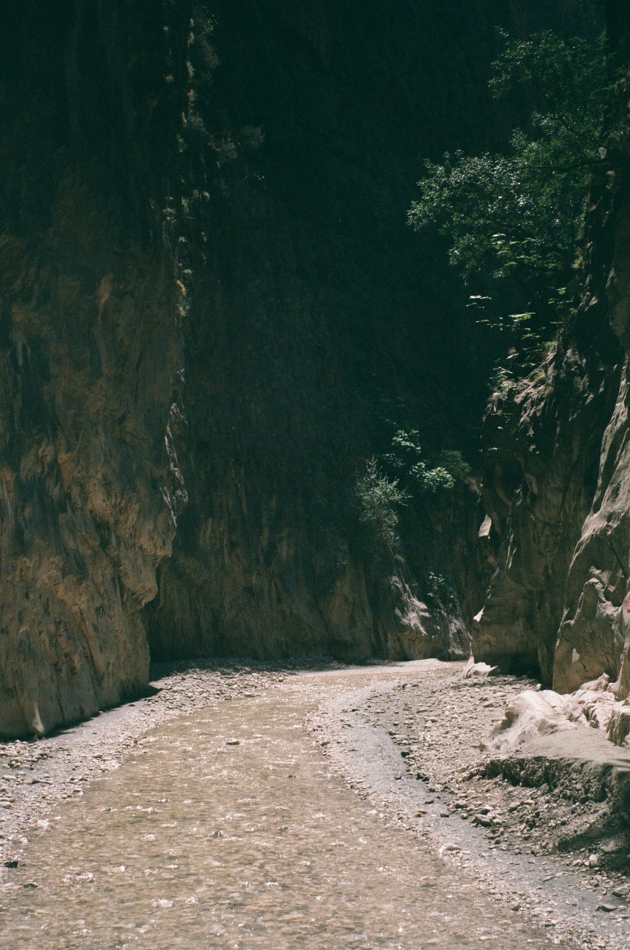 Photo by mikhail_volkov