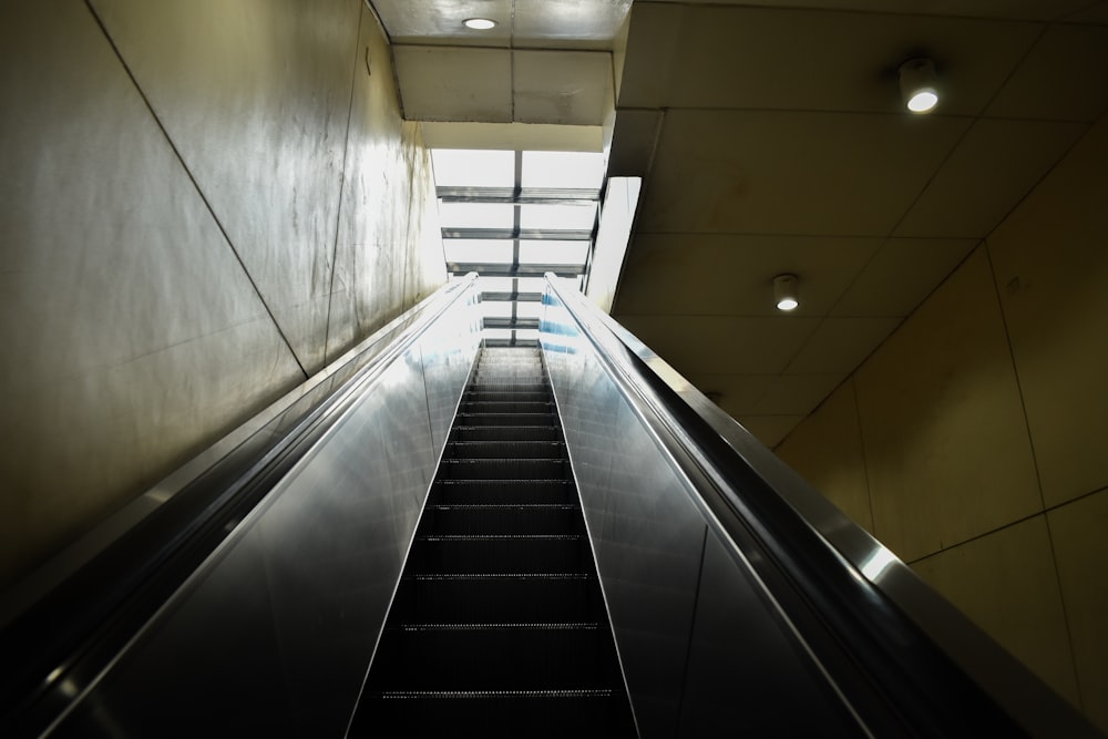 an escalator in a building with a skylight above it