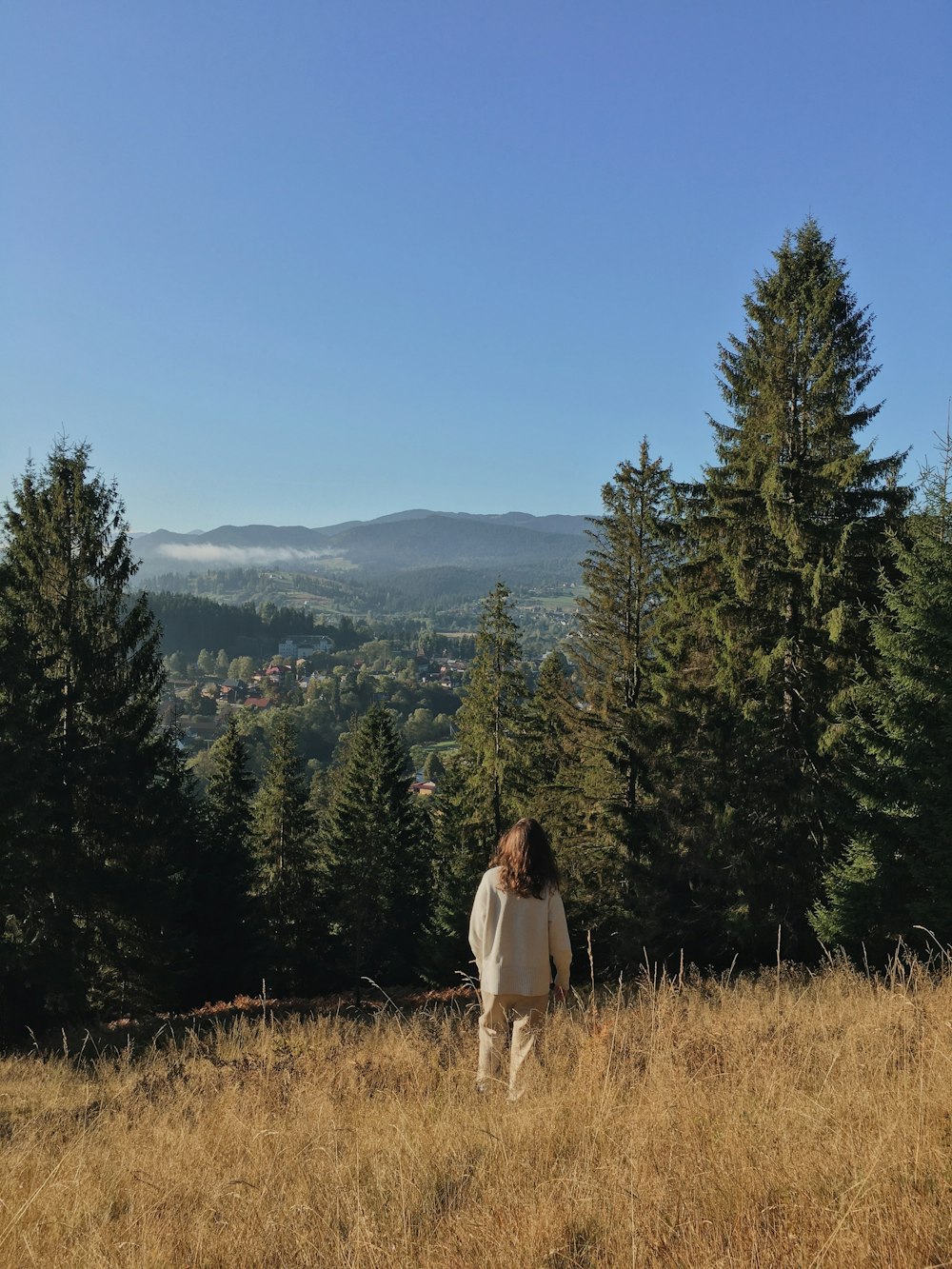 a person standing in a field with trees in the background