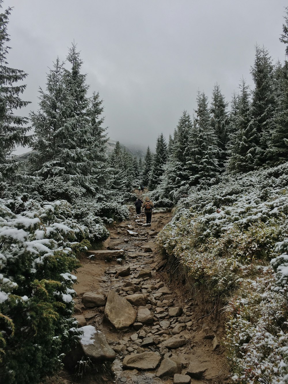 a couple of people walking down a snow covered trail