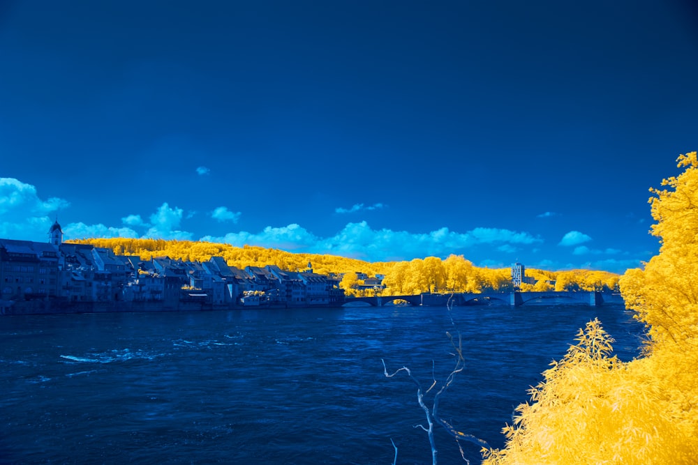a body of water with yellow trees in the background