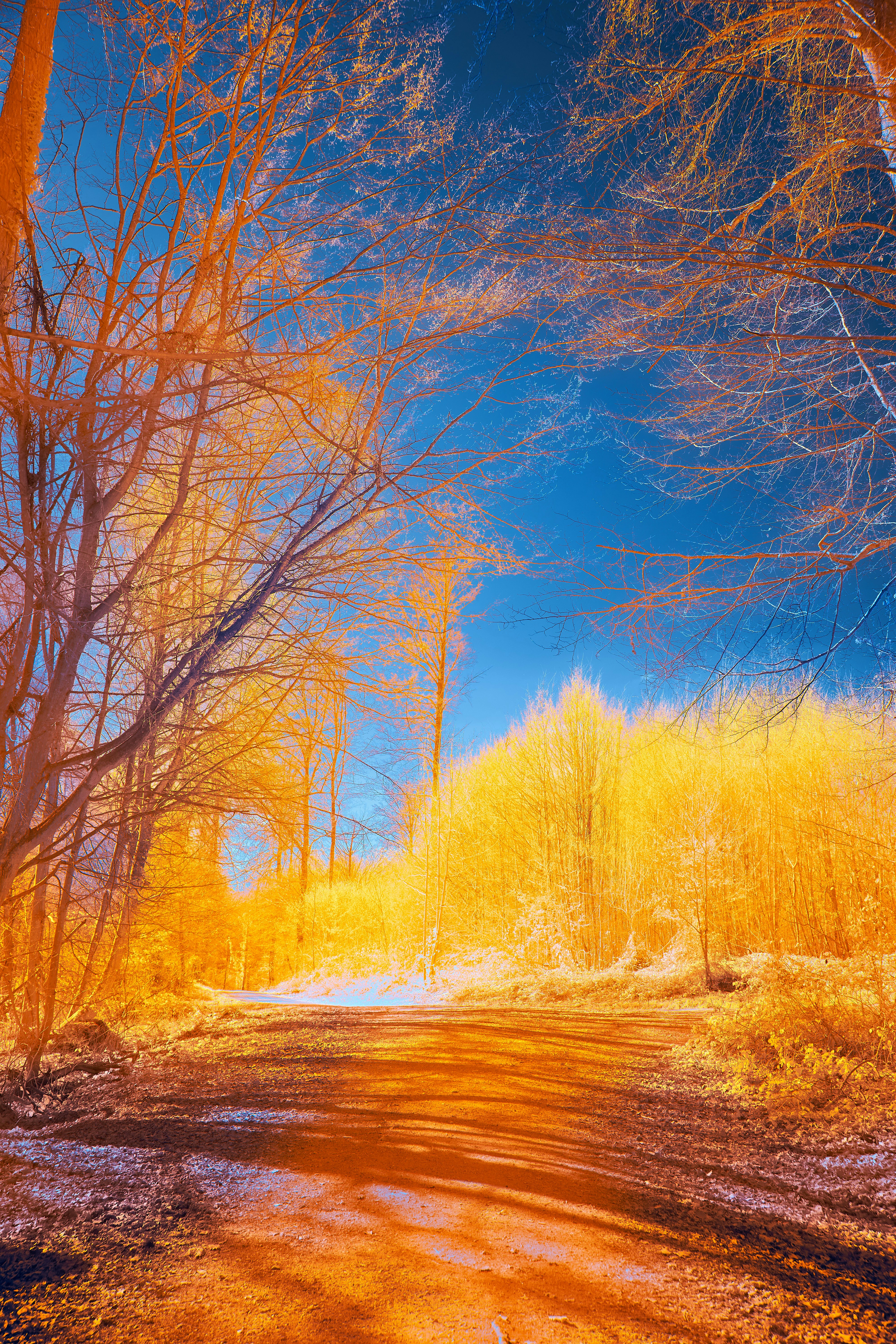 Photo by wolfgang_hasselmann