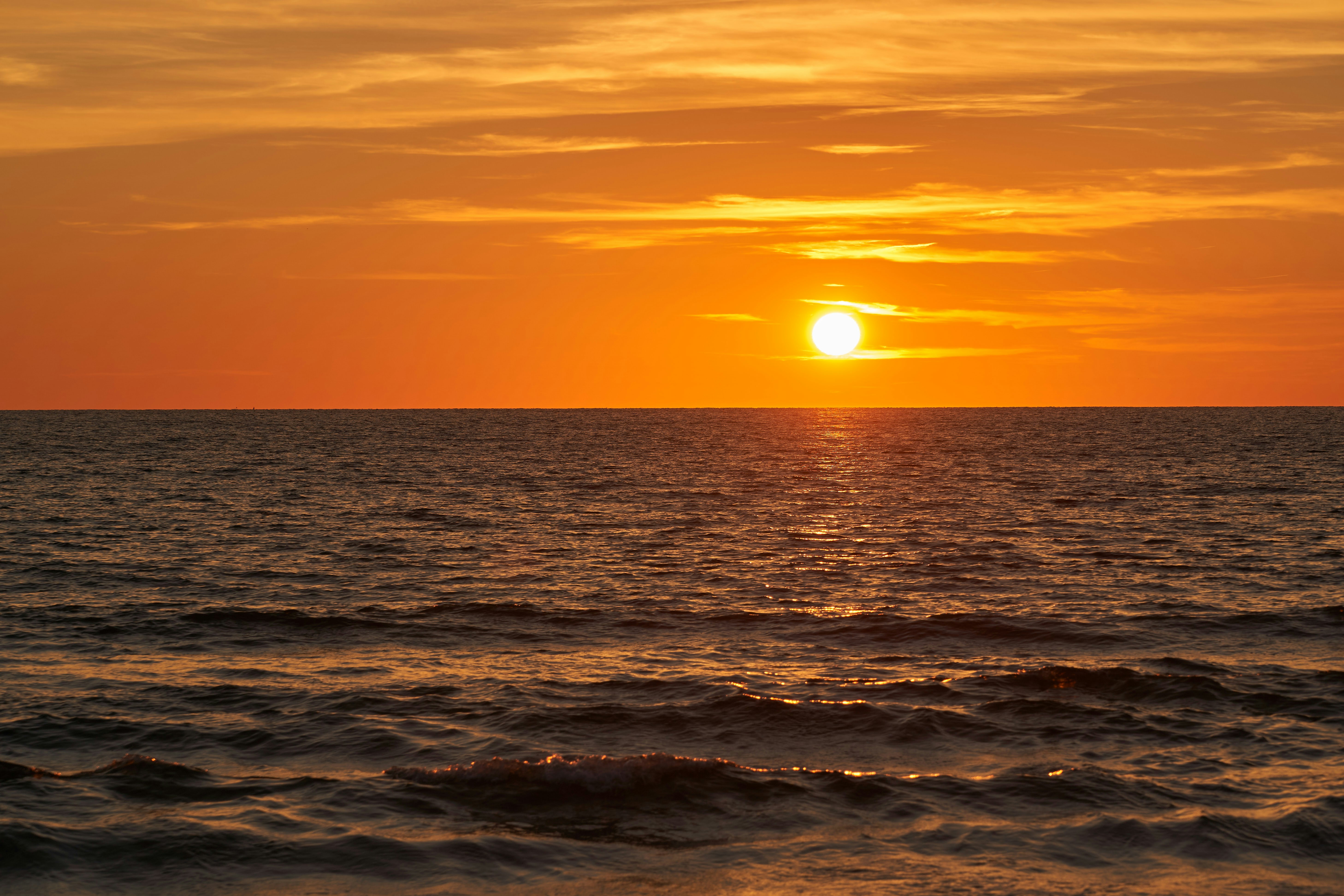 Photo by wolfgang_hasselmann