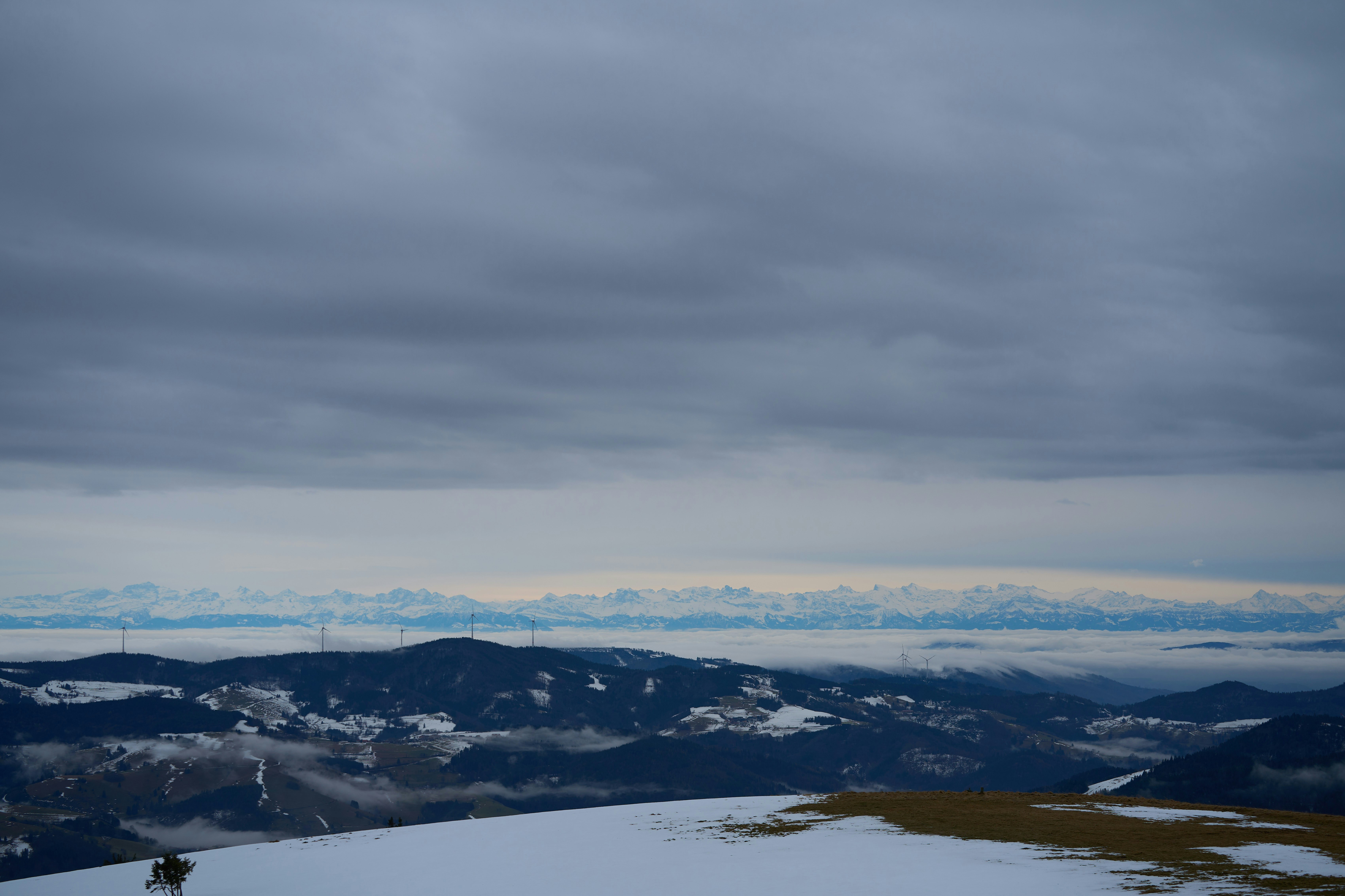 Photo by wolfgang_hasselmann