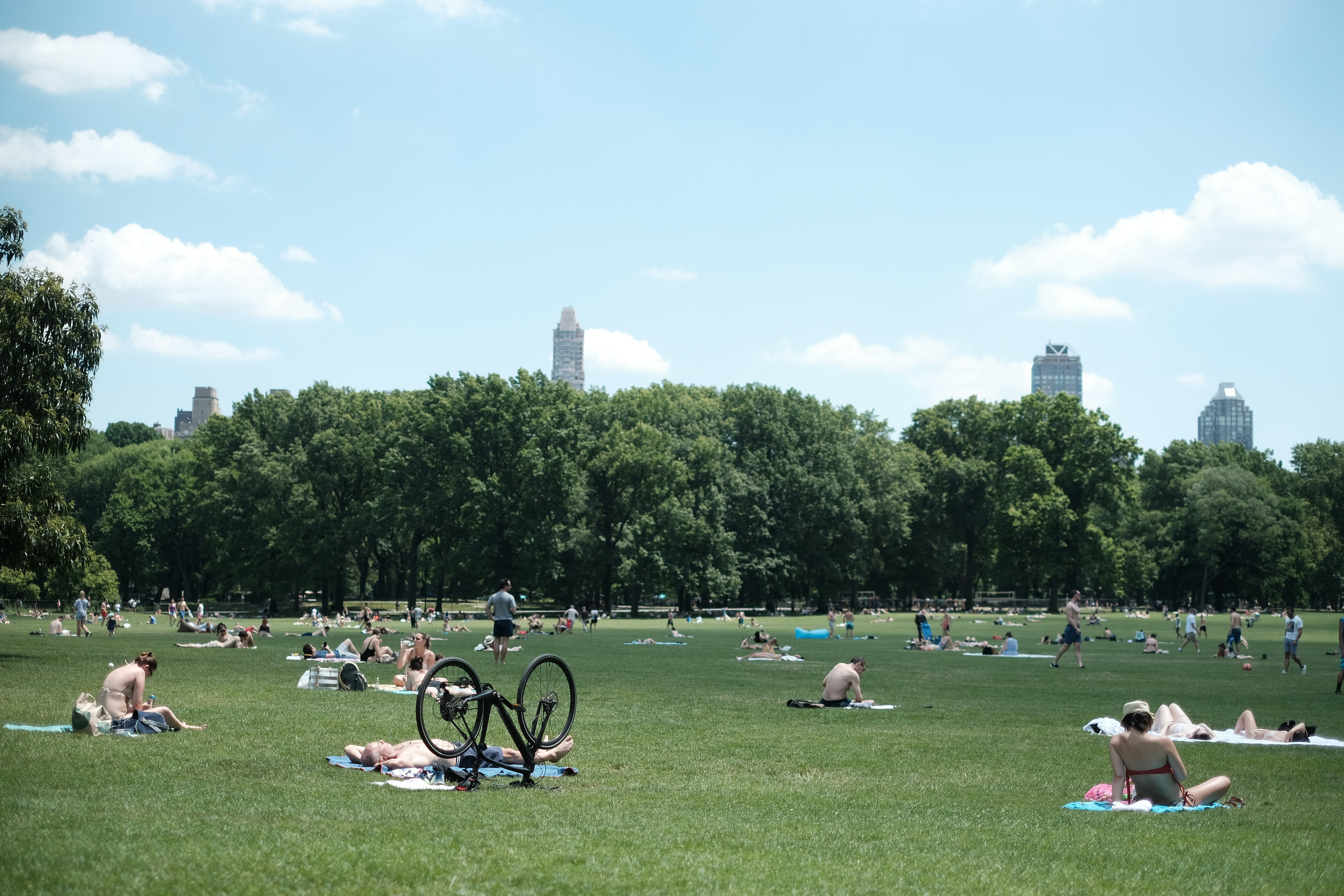 a large group of people sitting in a park