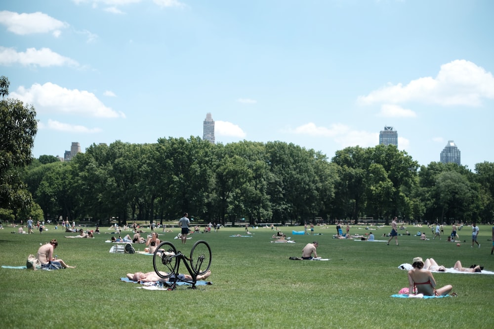 a large group of people sitting in a park