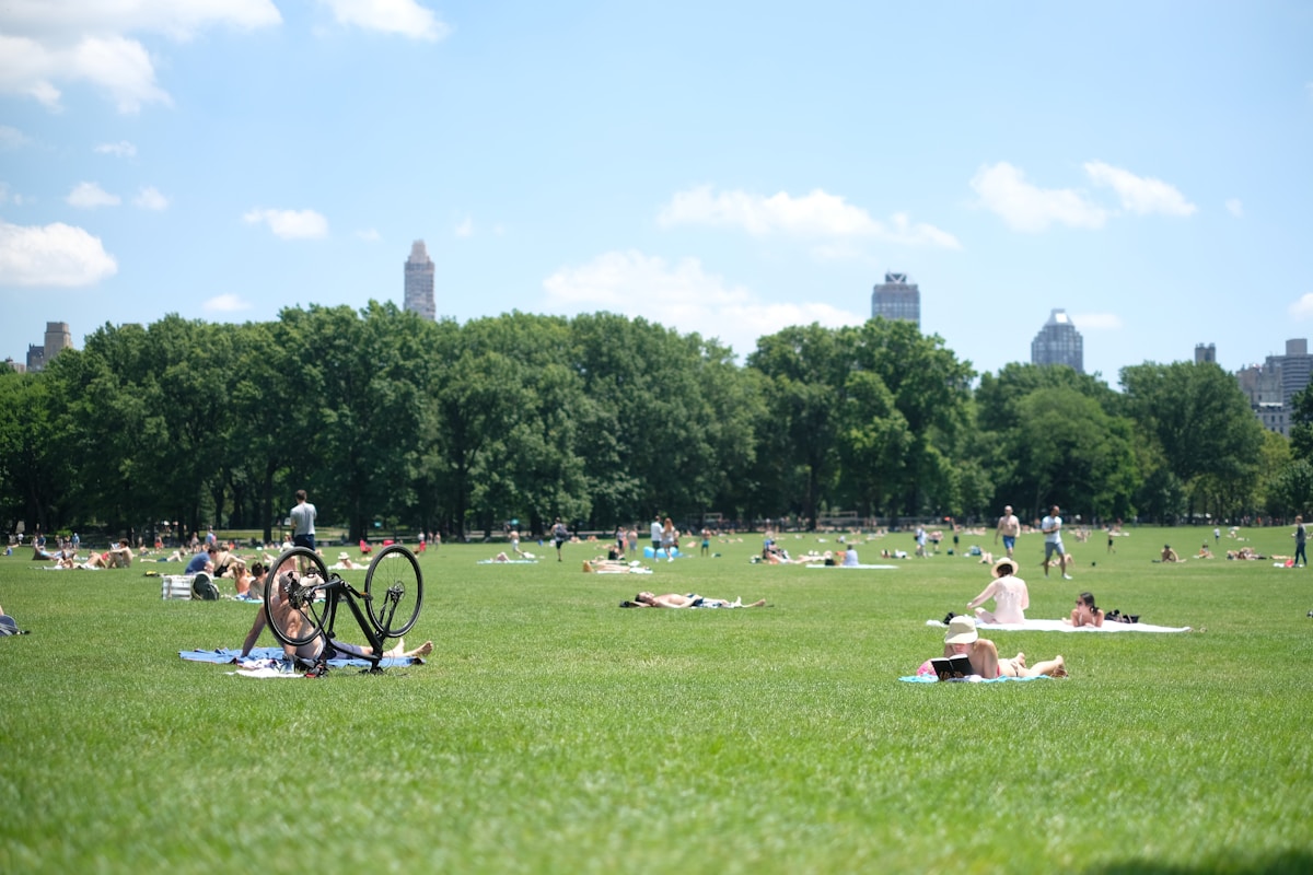 The Ultimate Guide to Free Events in New York City