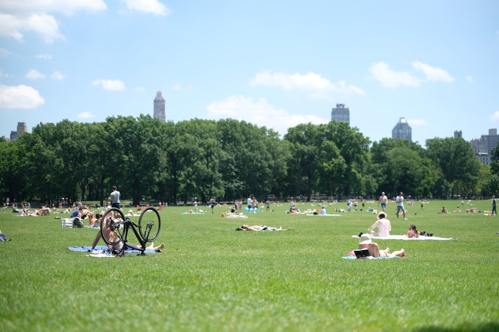 a large group of people sitting on top of a lush green field