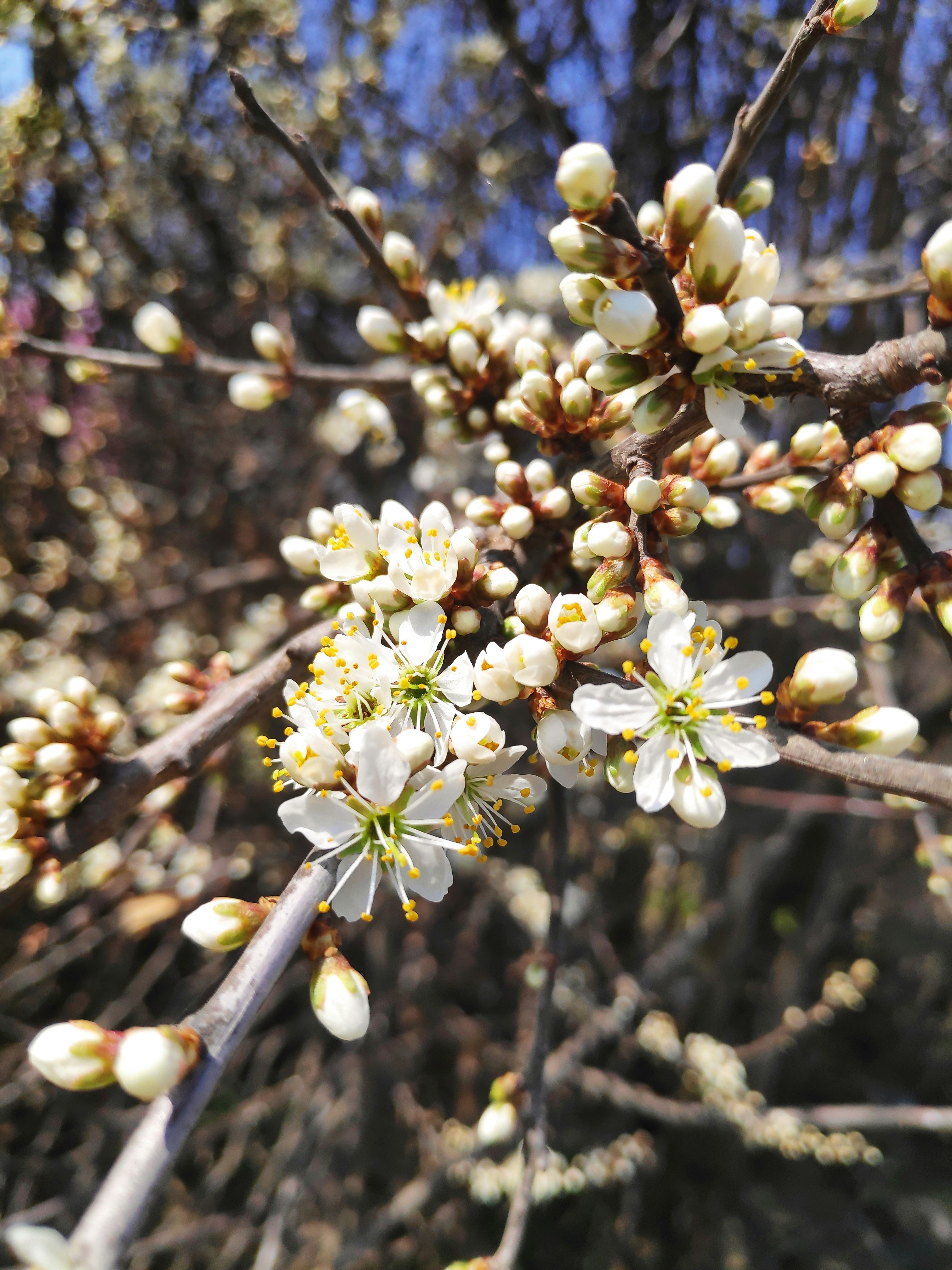 Photo by kristina001