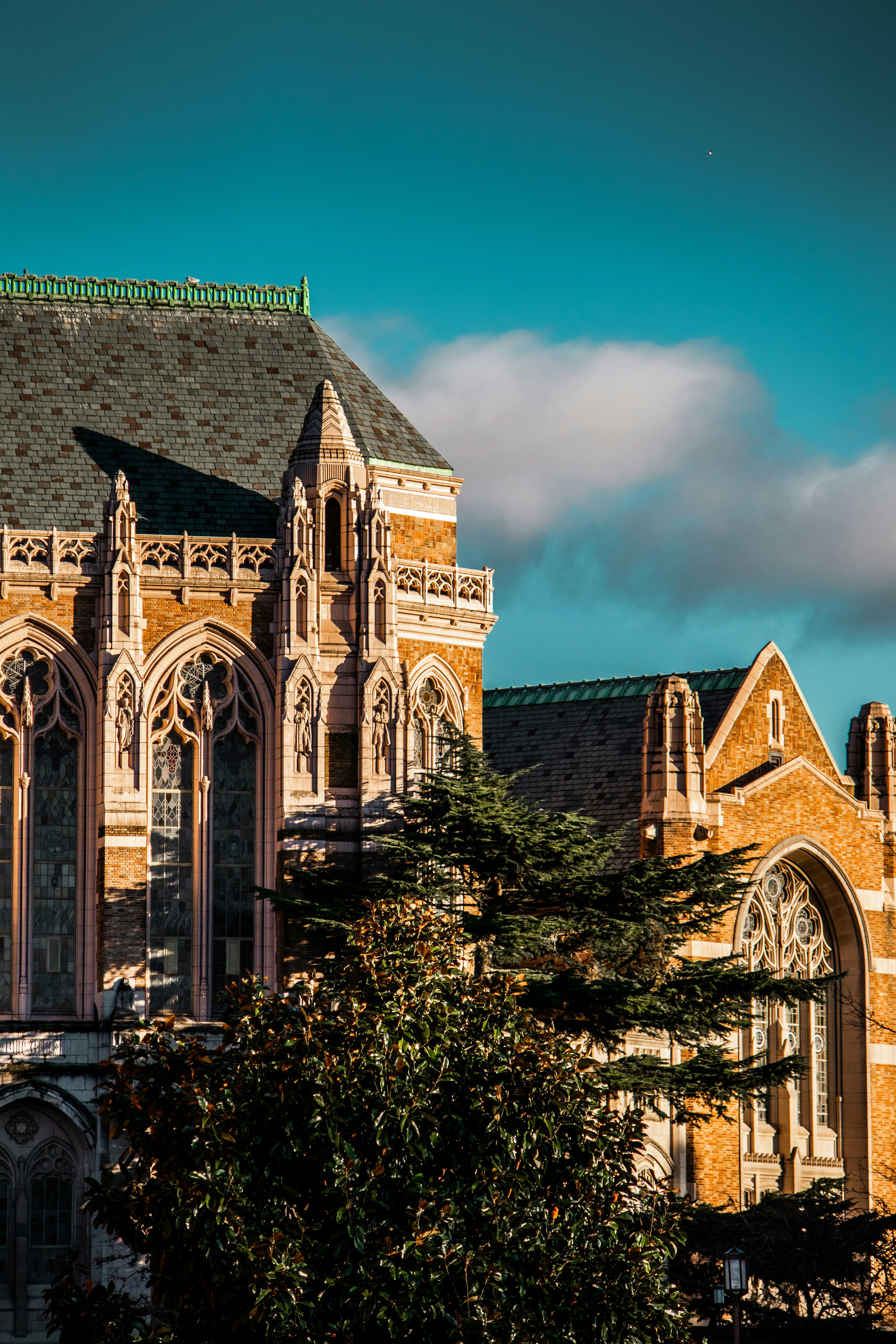 Photo by woomantsing