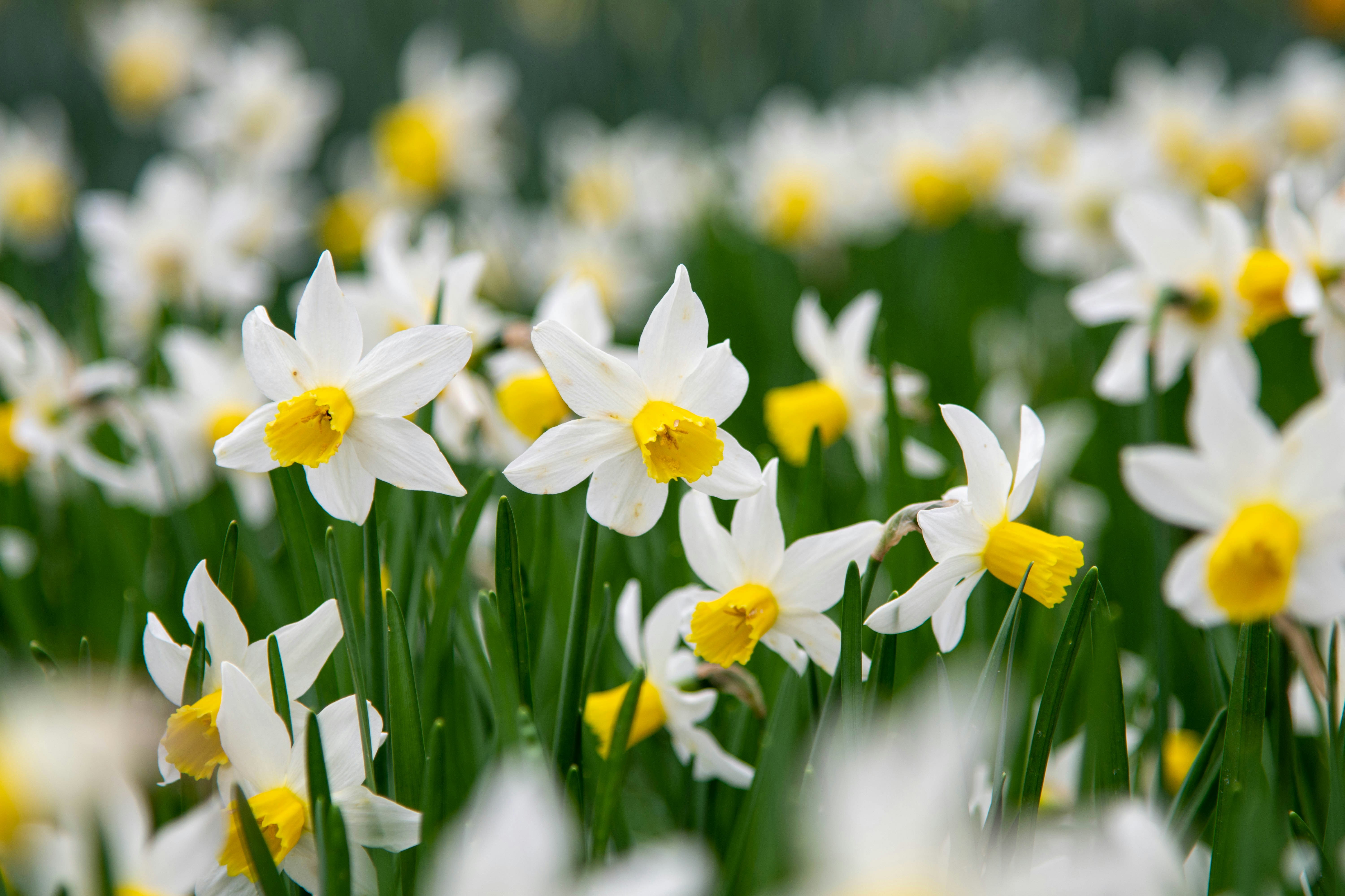 Photo by maplerockdesign