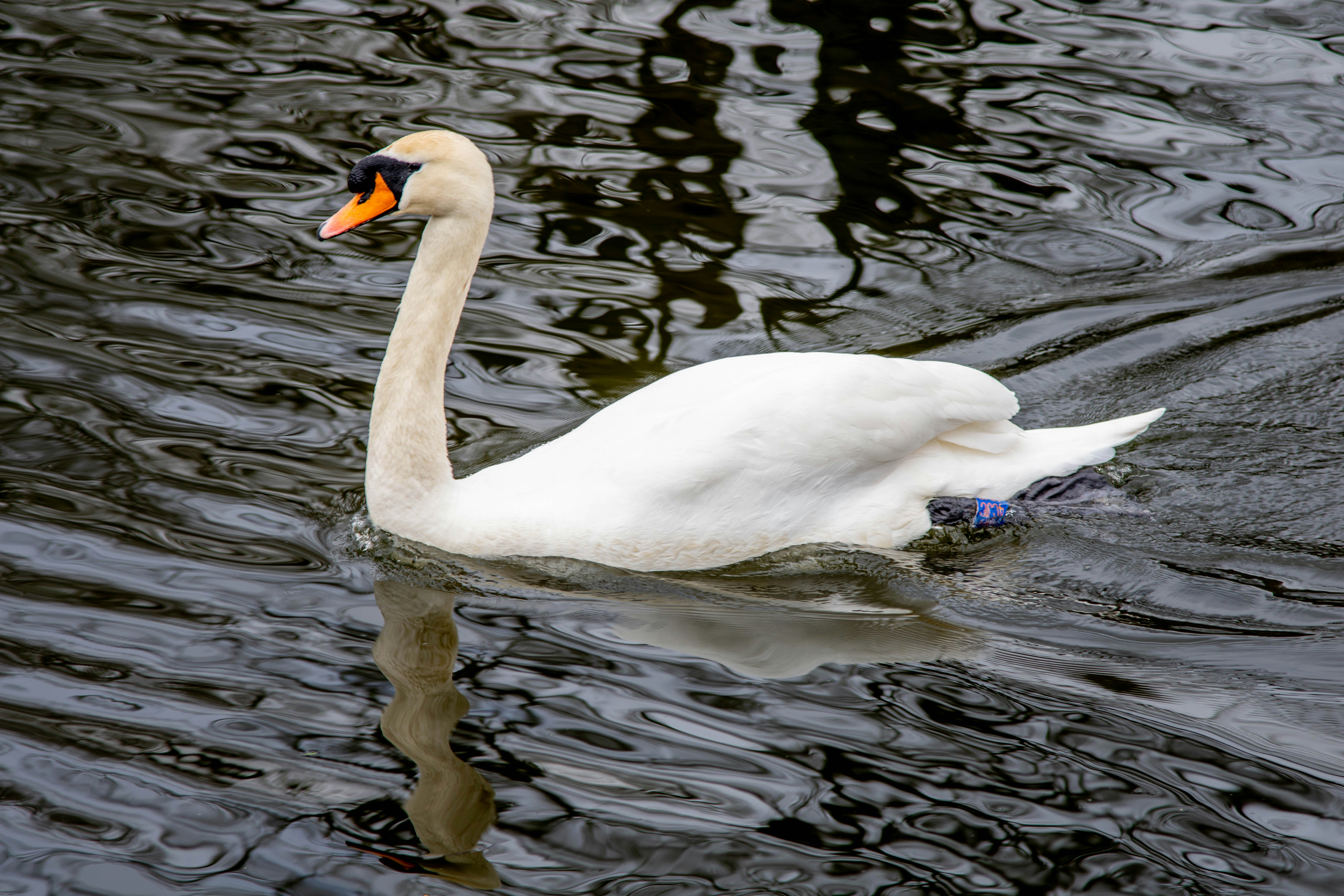 Photo by maplerockdesign