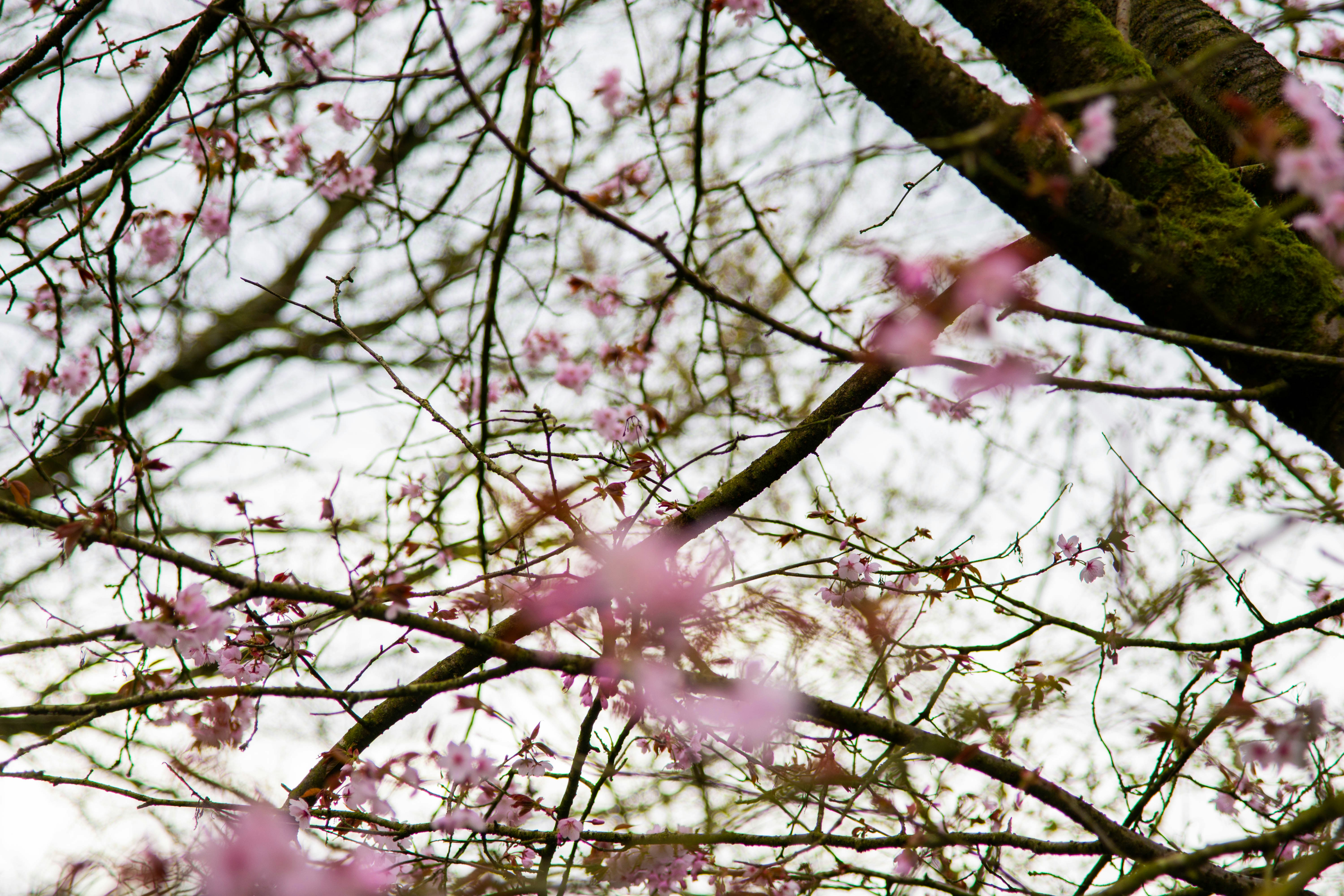 Photo by maplerockdesign