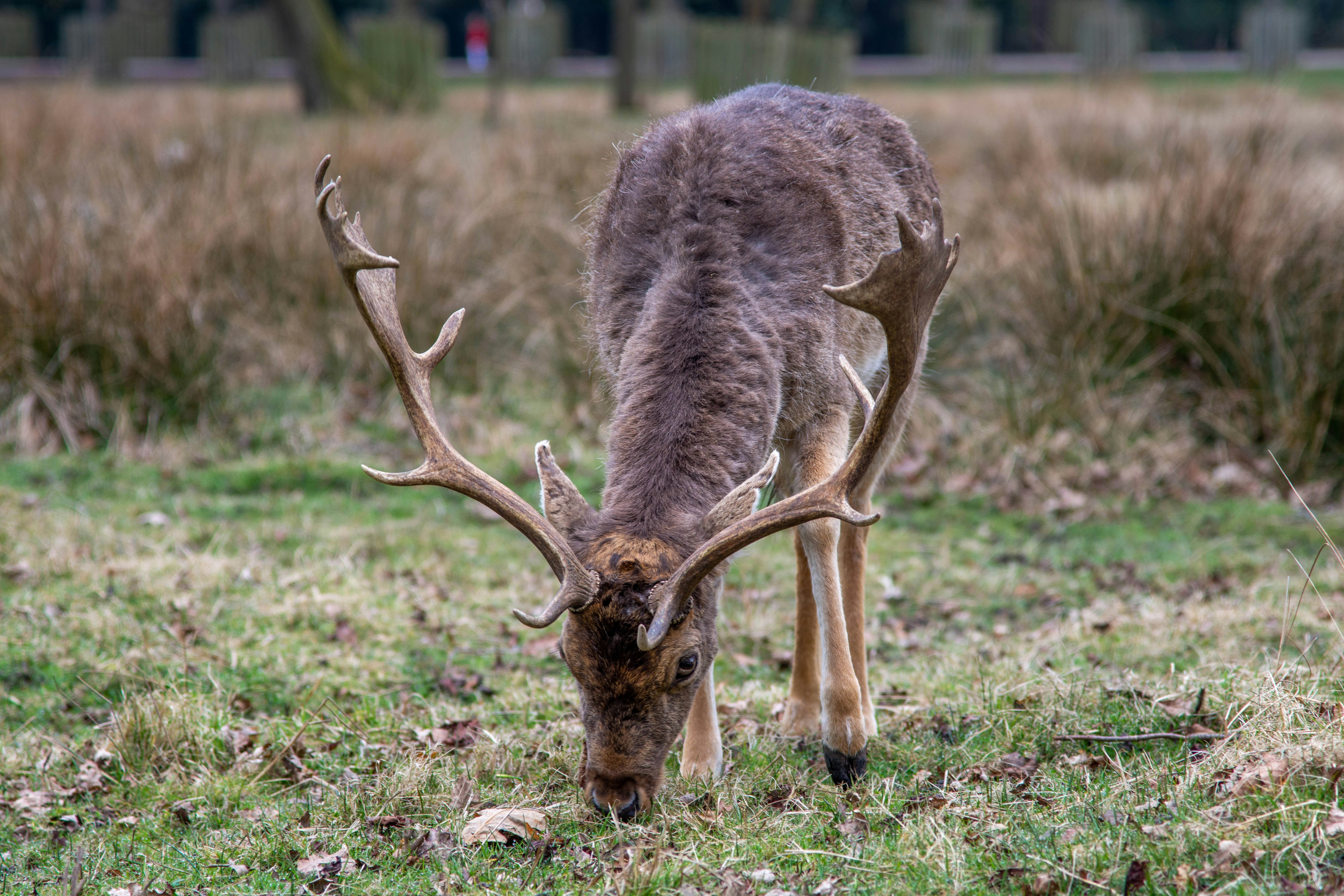 Photo by maplerockdesign