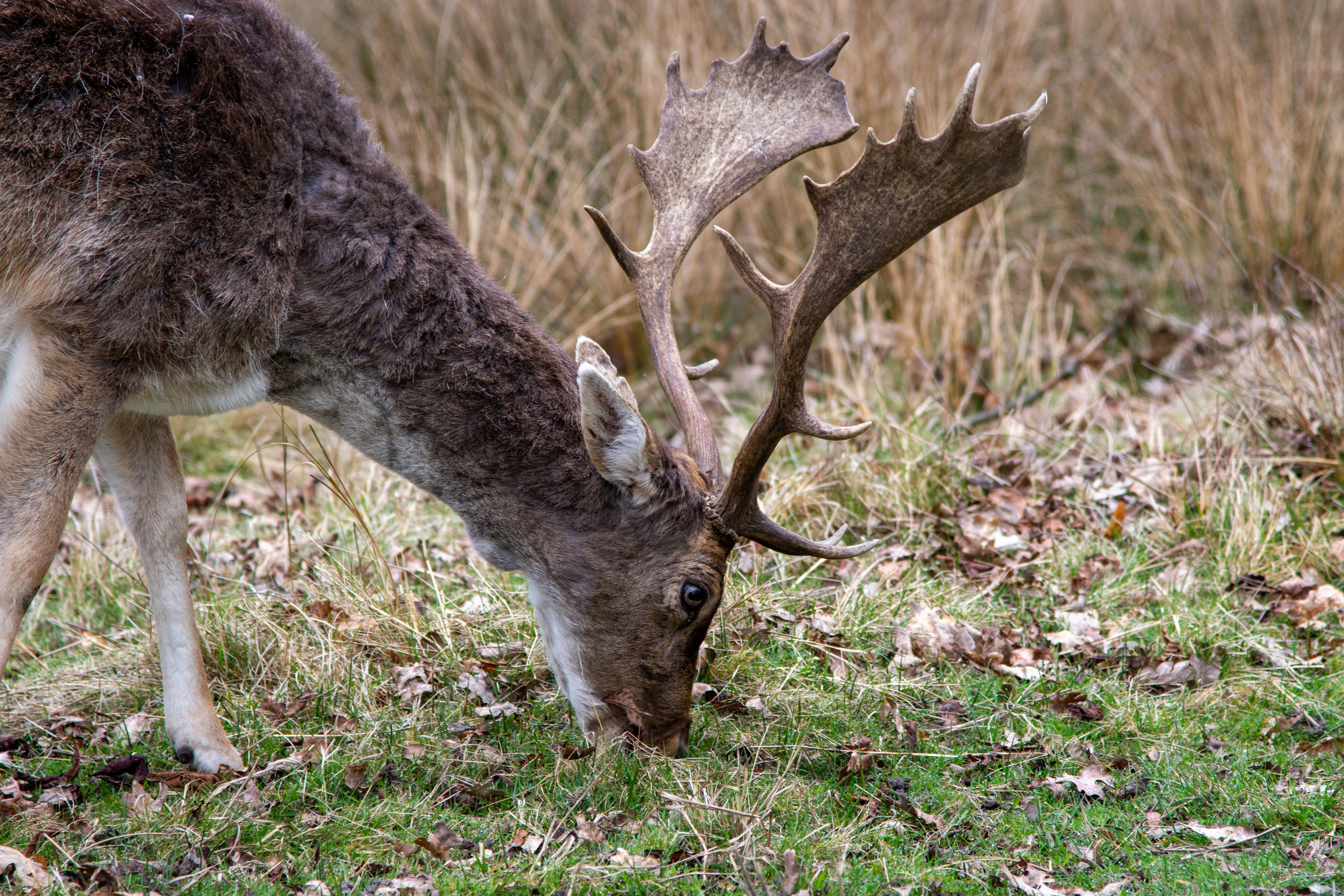 Photo by maplerockdesign