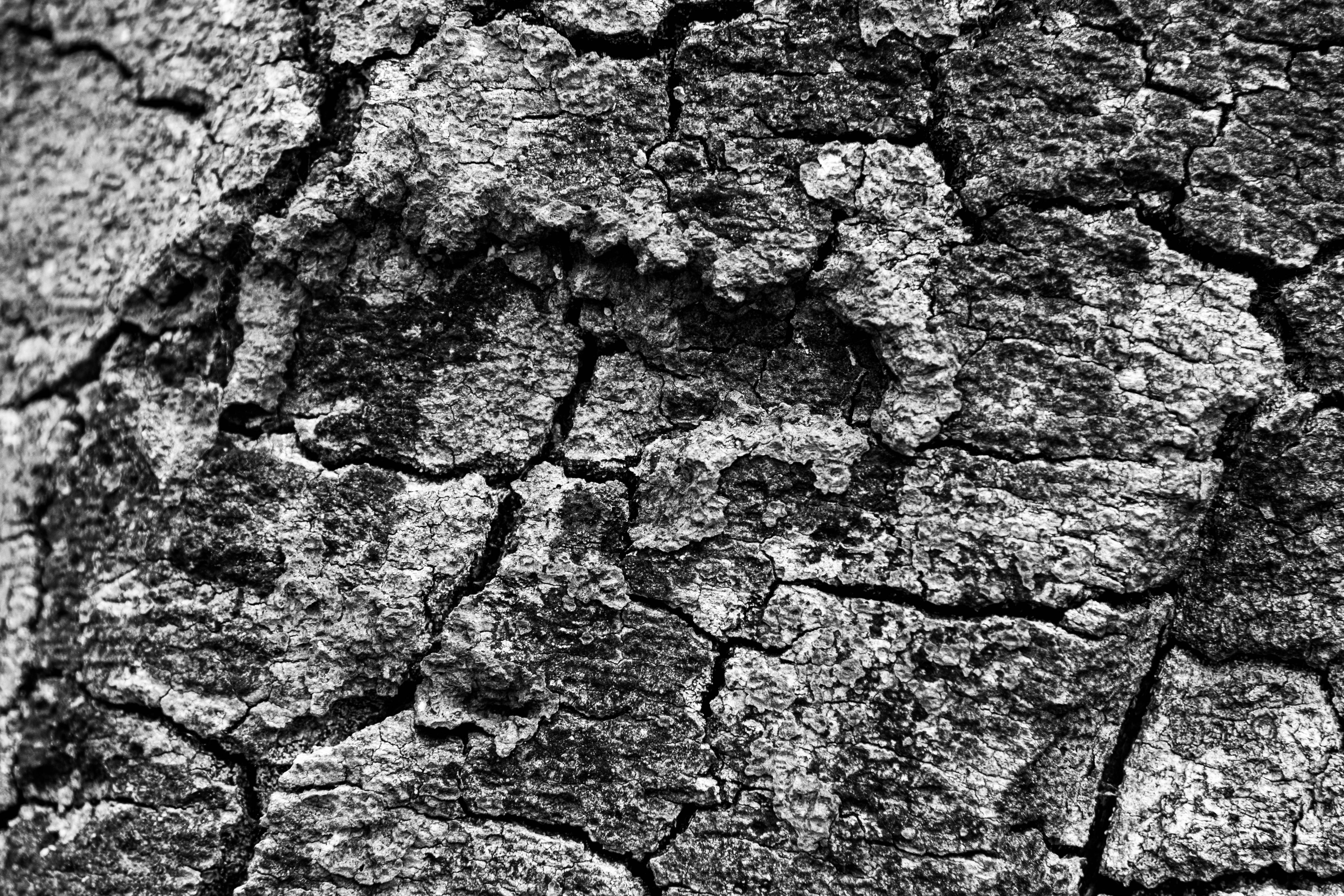 Photo by maplerockdesign