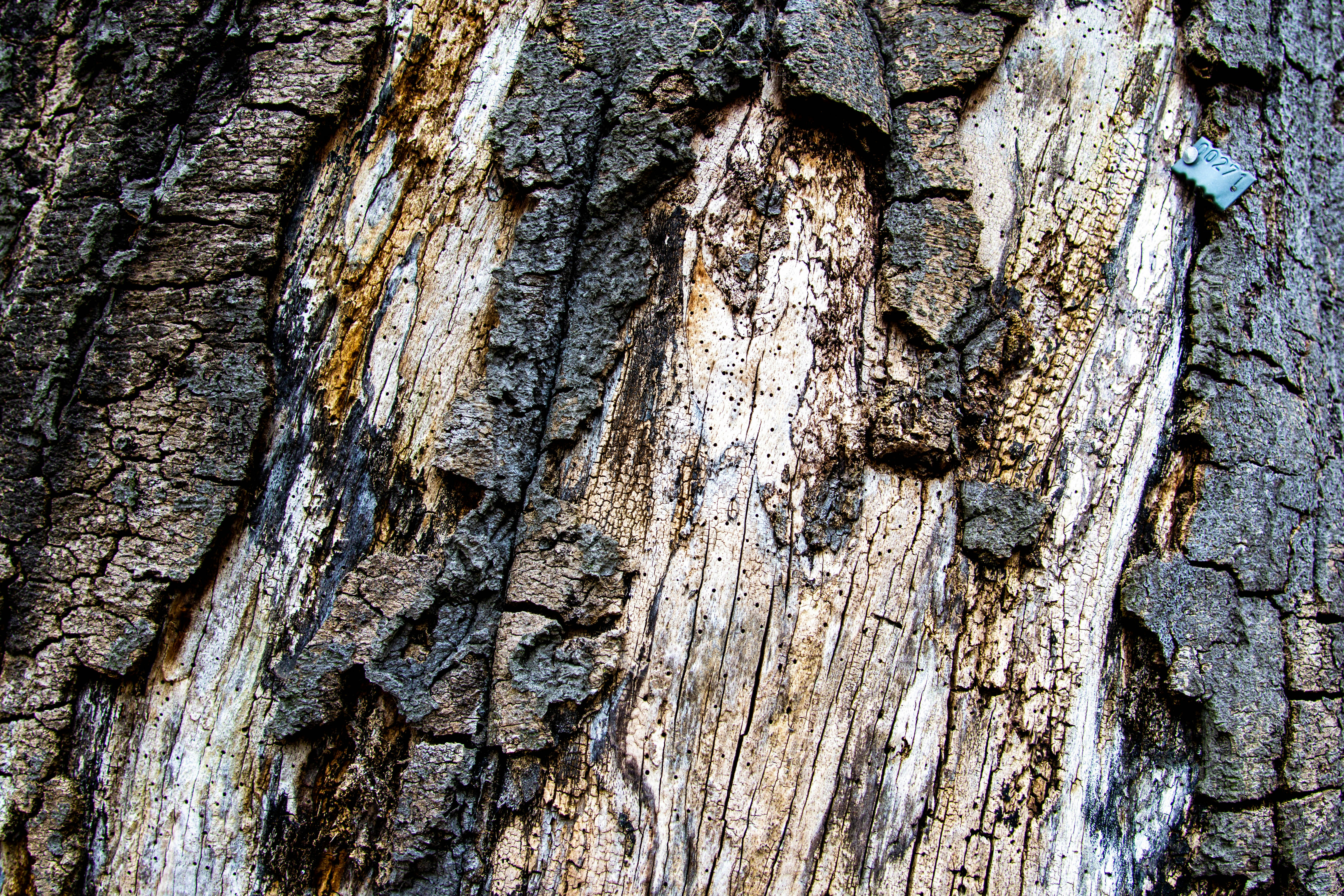 Photo by maplerockdesign