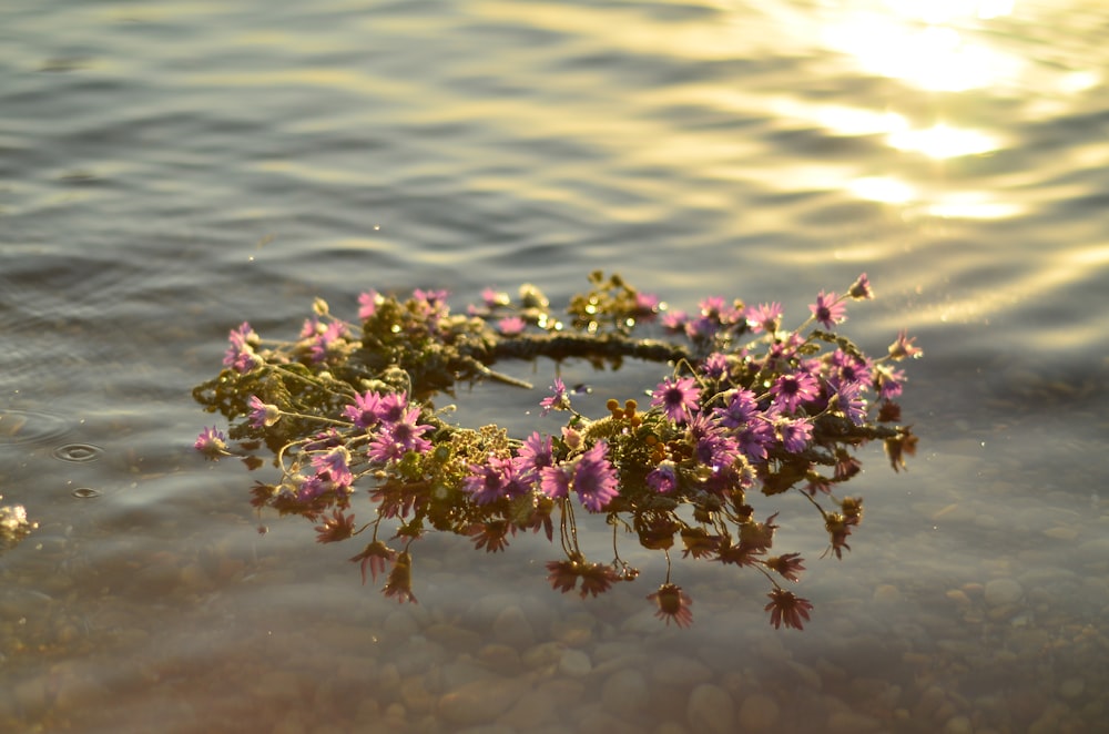 a wreath of flowers floating on top of a body of water