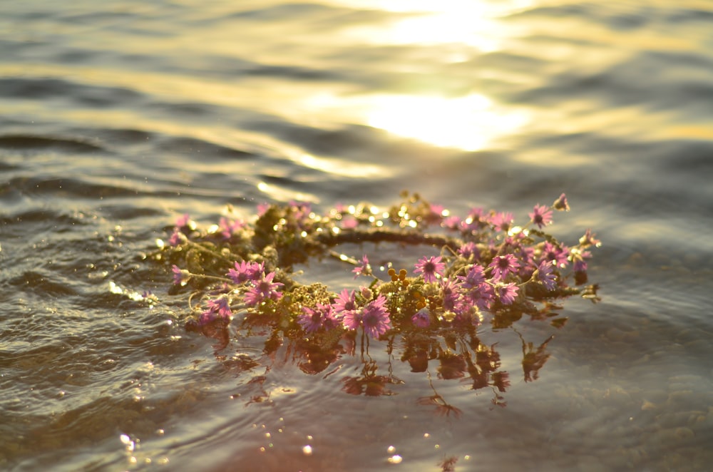 a wreath of flowers floating on top of a body of water