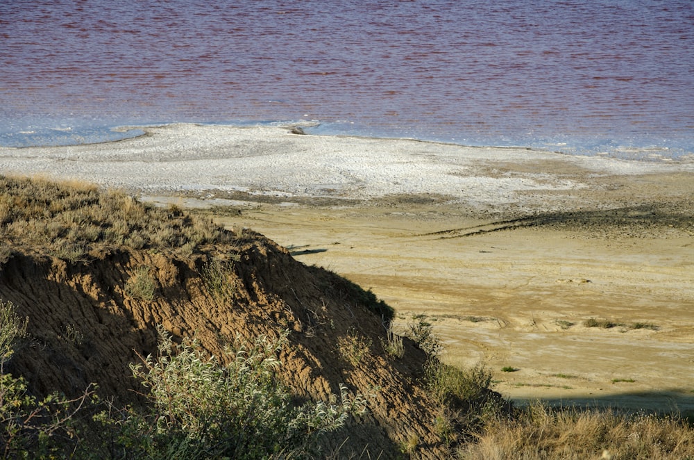 a bird sitting on a cliff overlooking a body of water