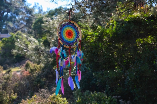 A colorful dreamcatcher hangs among green trees, its intricate web pattern in the center surrounded by vibrant feathers in shades of blue, pink, and purple. Sunlight filters through the foliage, casting gentle highlights on the dreamcatcher and creating a serene atmosphere.