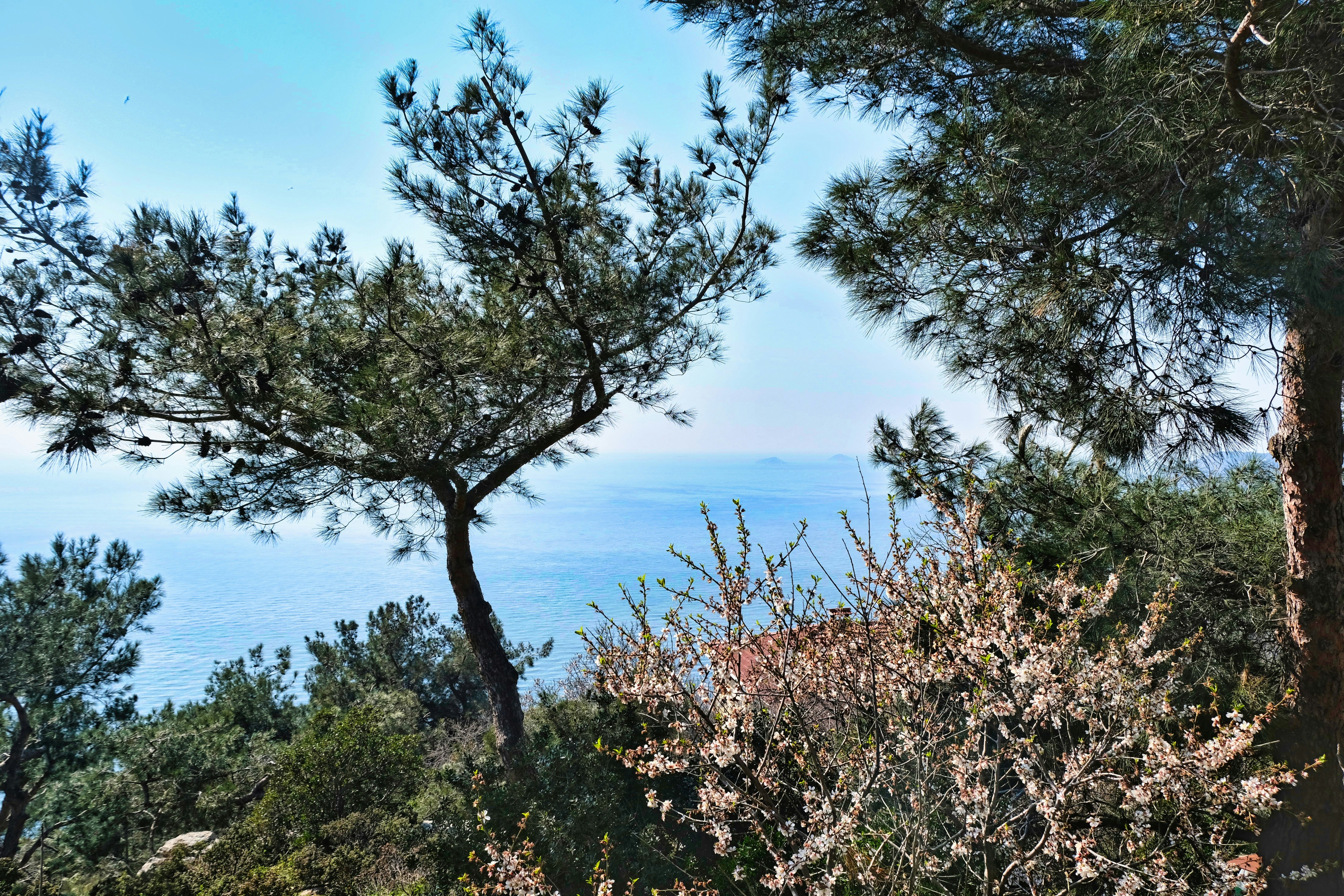 Photo by etienneflorent